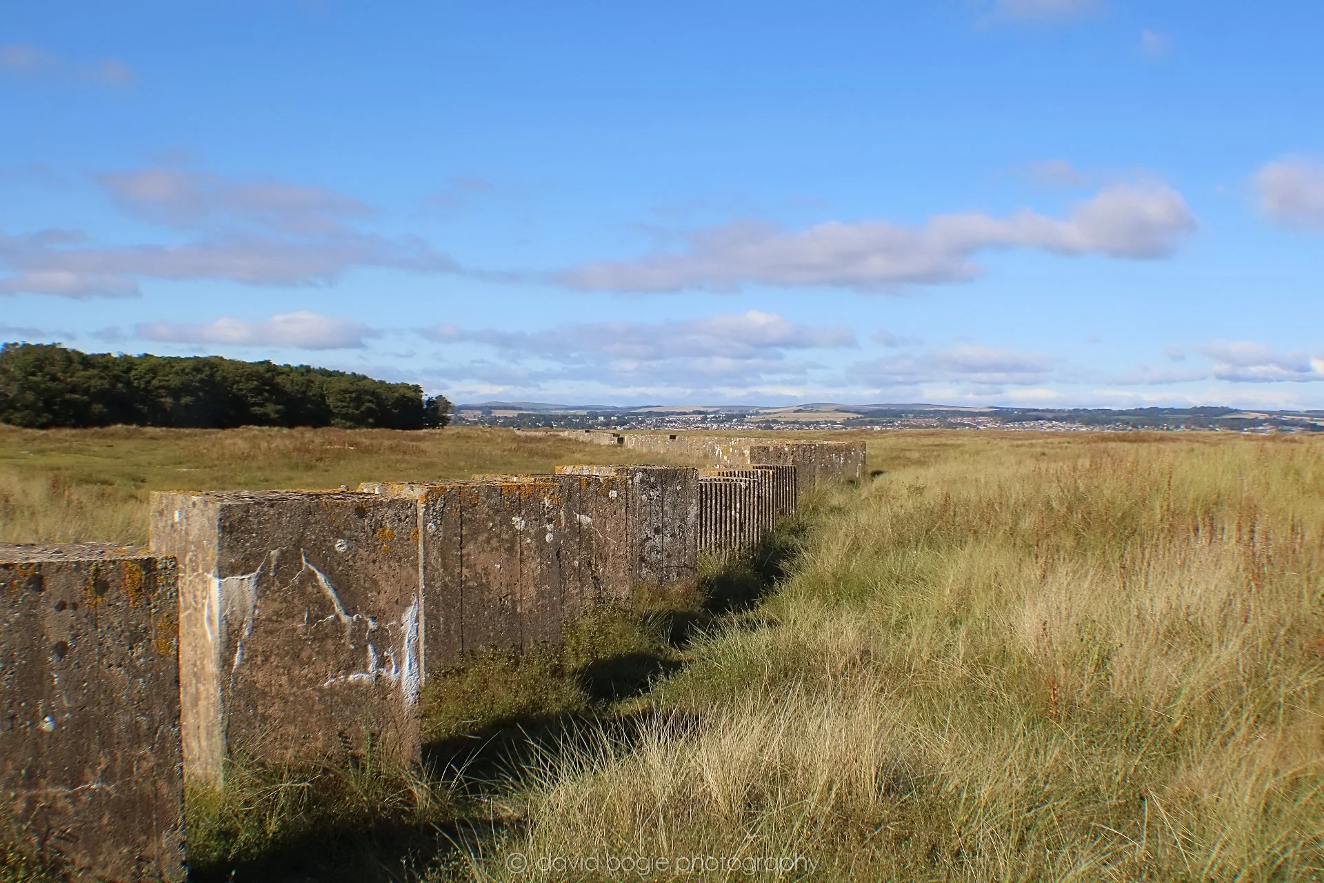 20191002 133446 Tentsmuir 0022.jpg