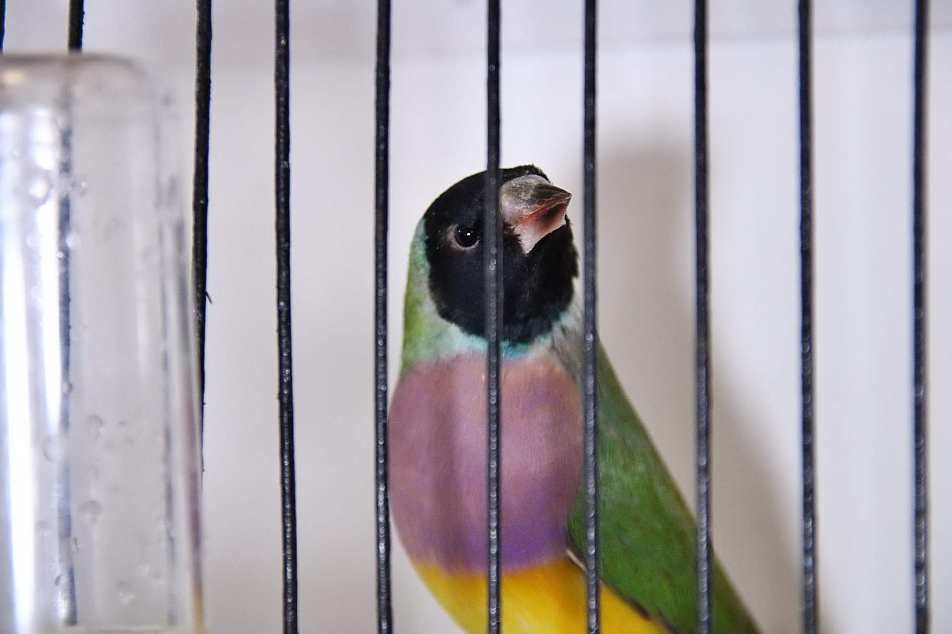 20241103 130747 MCBS Show 0469.JPG