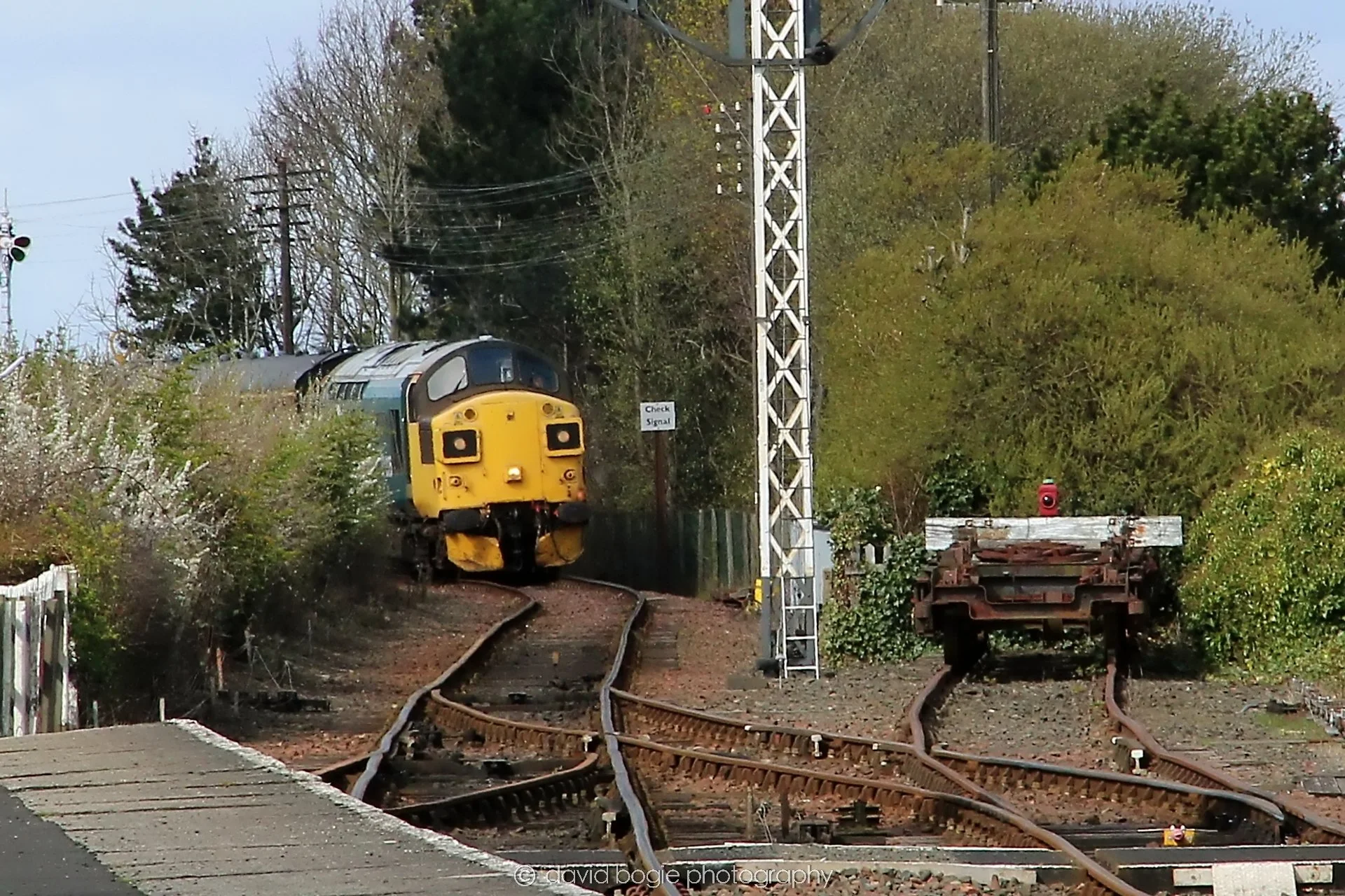 YEAR20230411 111000 Bo'ness 0075.jpg