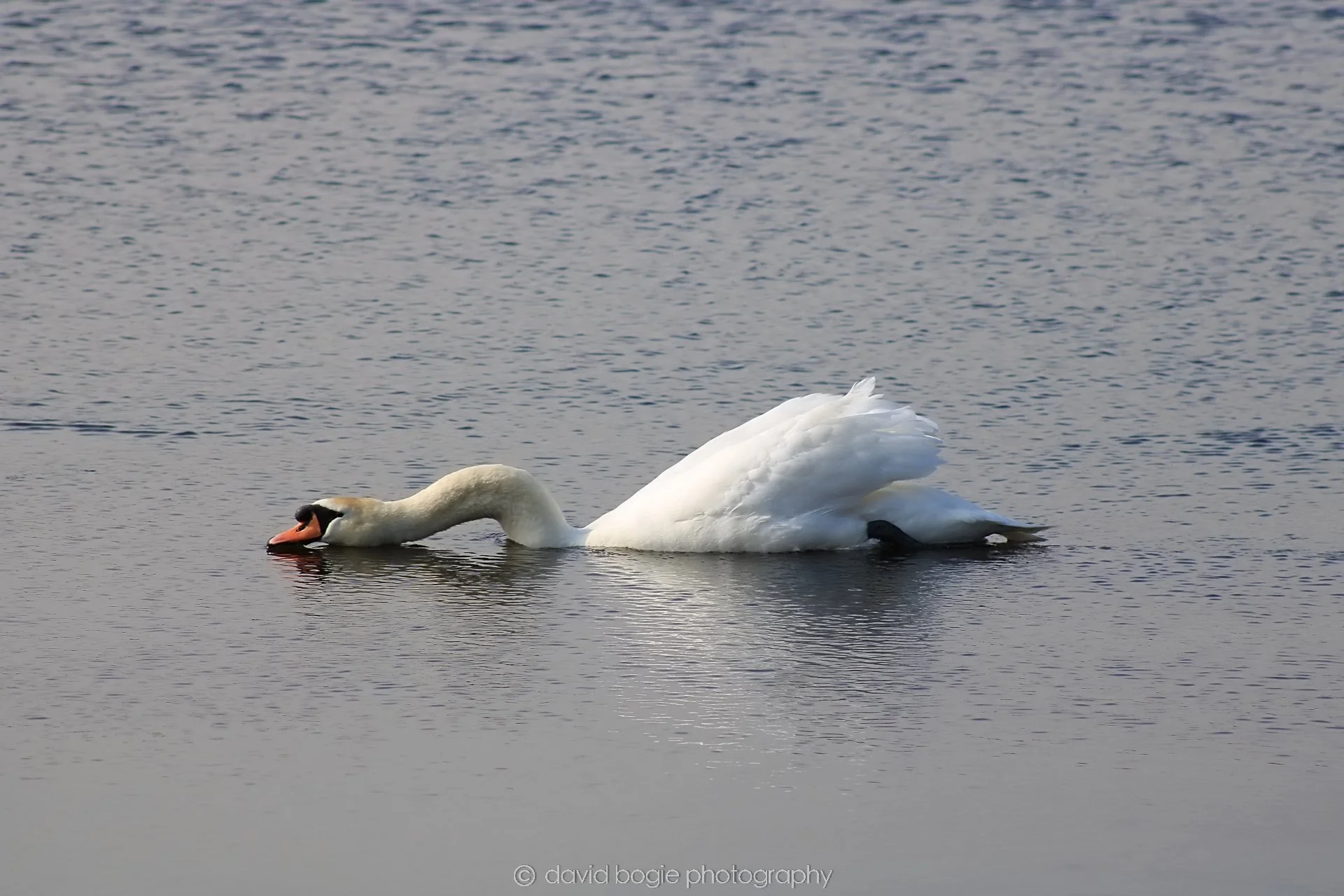 20190405 105039 Lochore 0019.jpg