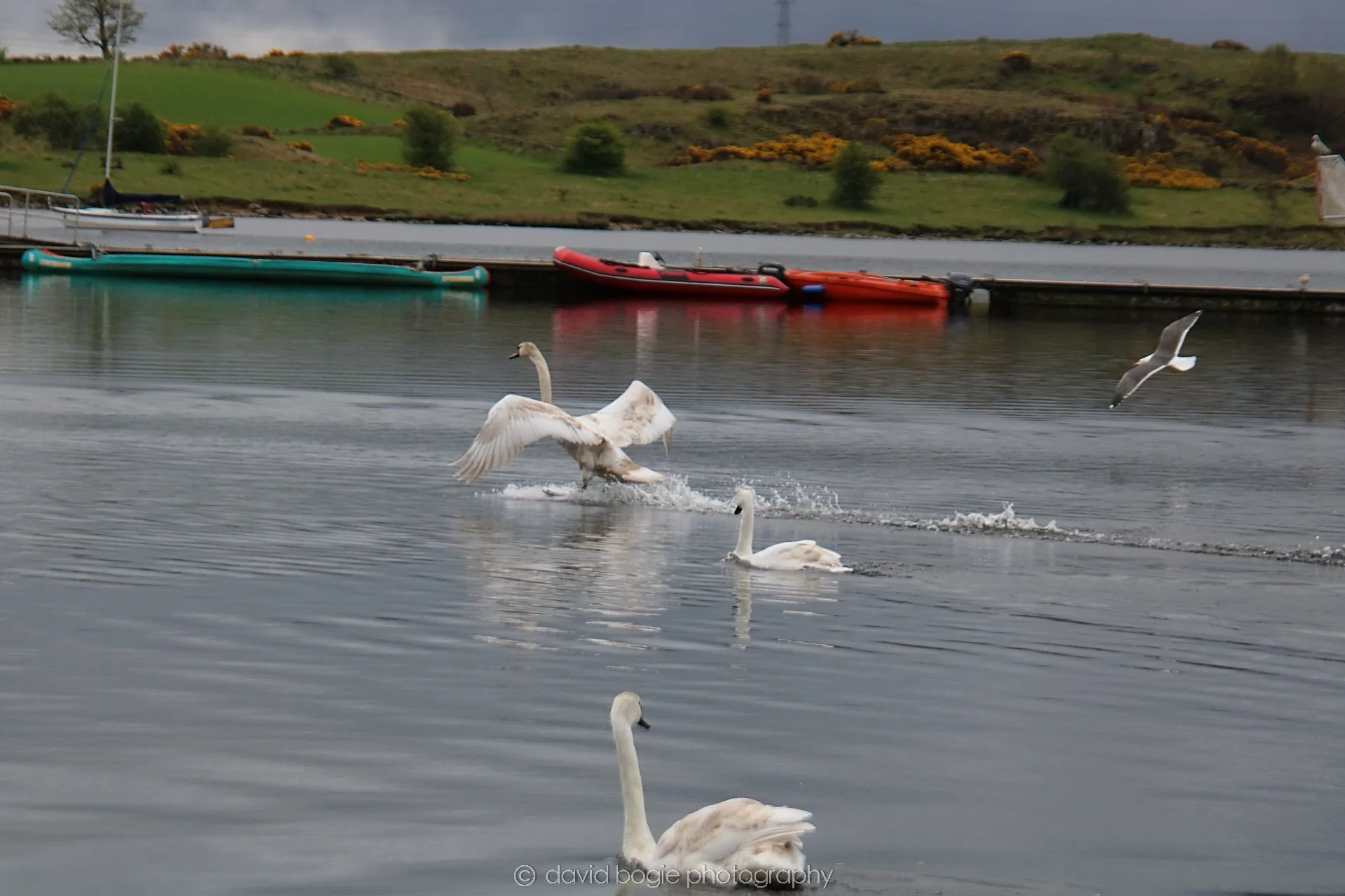 YEAR20220426 Lochore 44.jpg