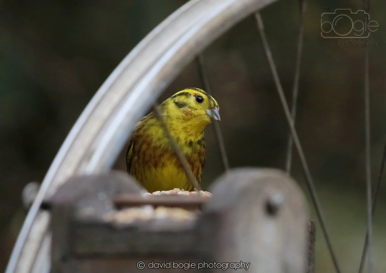 20260215 132536 Silverburn 0181.jpg