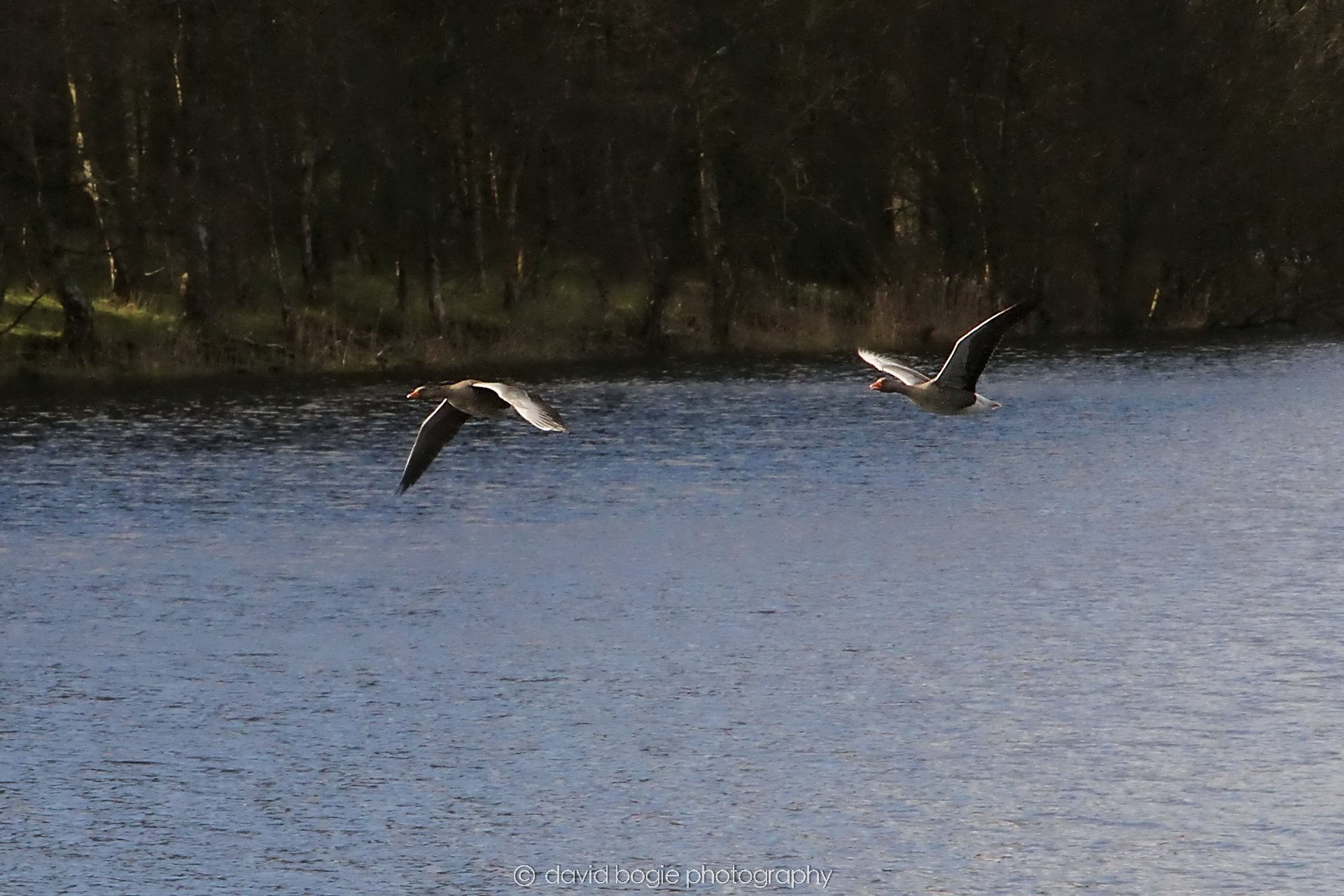 YEAR20240404 091834 Lochore 0003.jpg