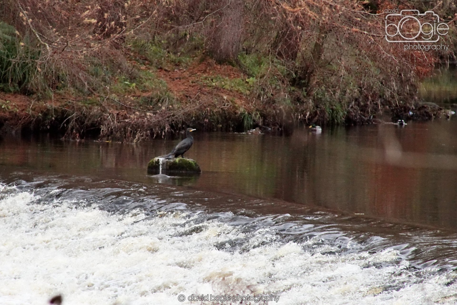 20251205 132240 East Calder 0079.JPG