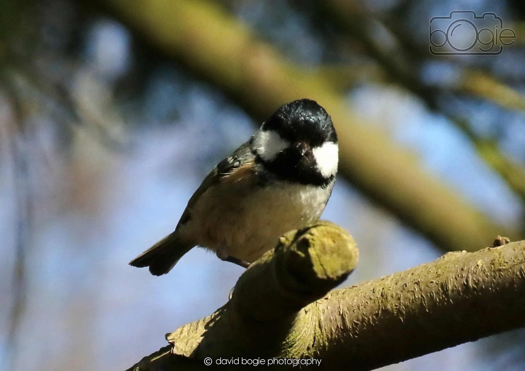 20260403 121453 Dunnikier 0097.jpg