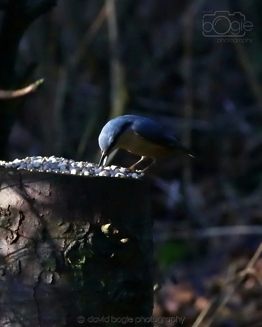 20260128 125942 Dunnikier 0109.jpg