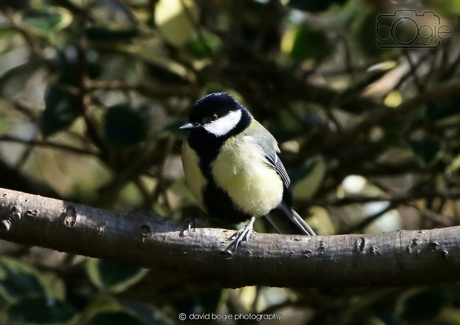 20260402 101058 Silverburn 0114.jpg