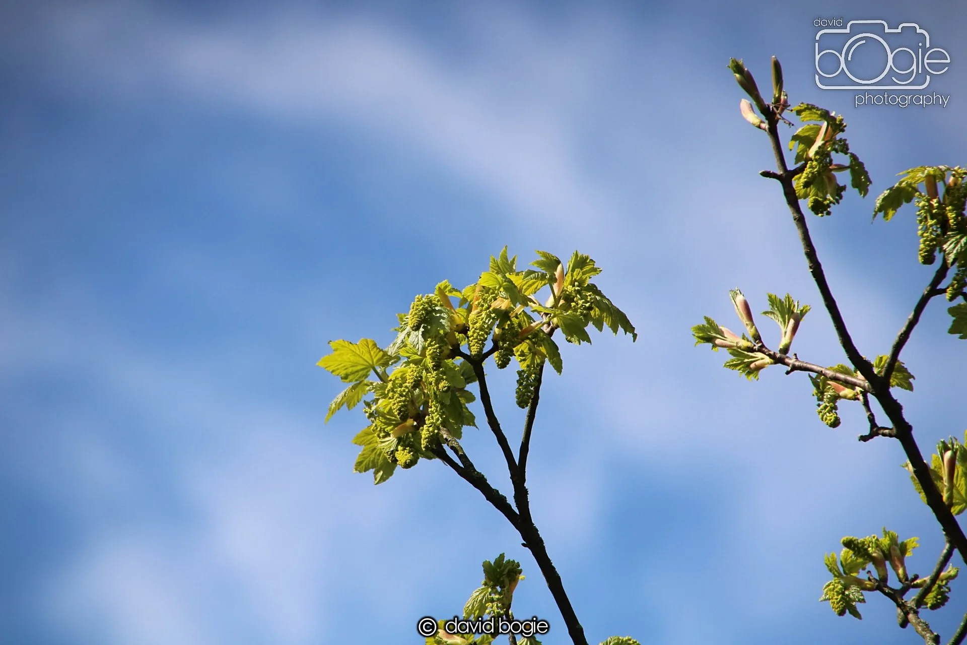 20240423 103128 Beveridge 0001.JPG