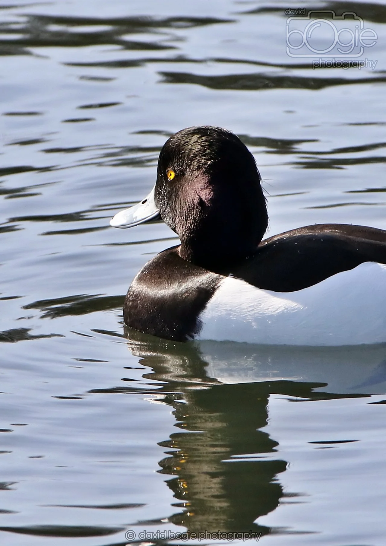 20260319 133040 Beveridge Park 0453.jpg