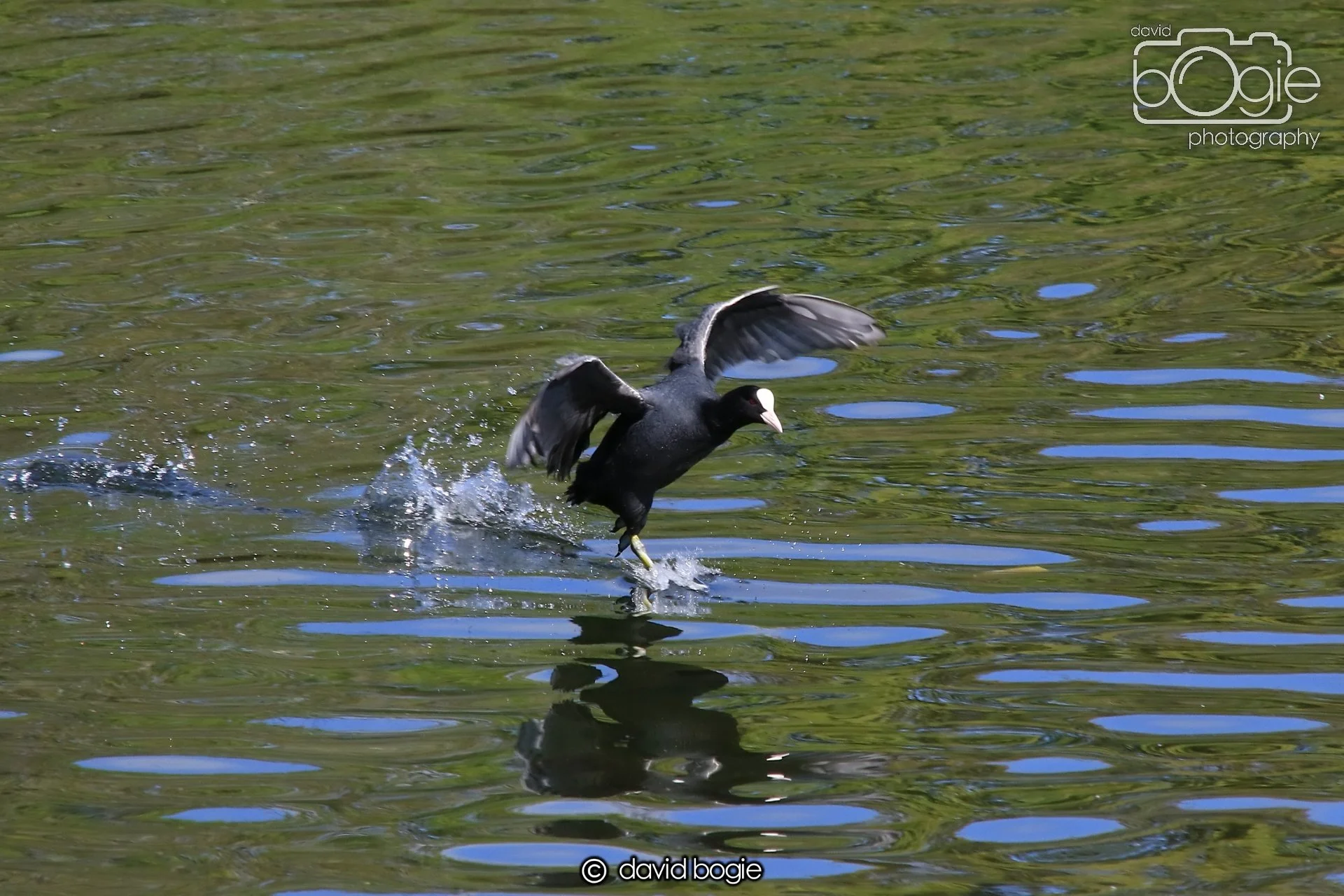 20250505 134607 Beveridge Park 0976.JPG