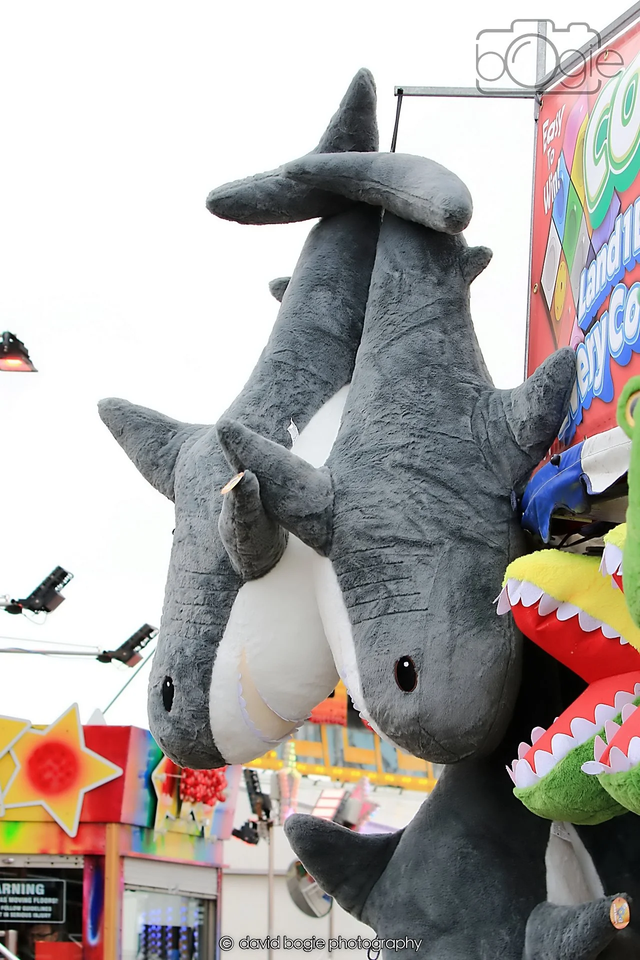 20260415 131031 Links Market 0266.jpg