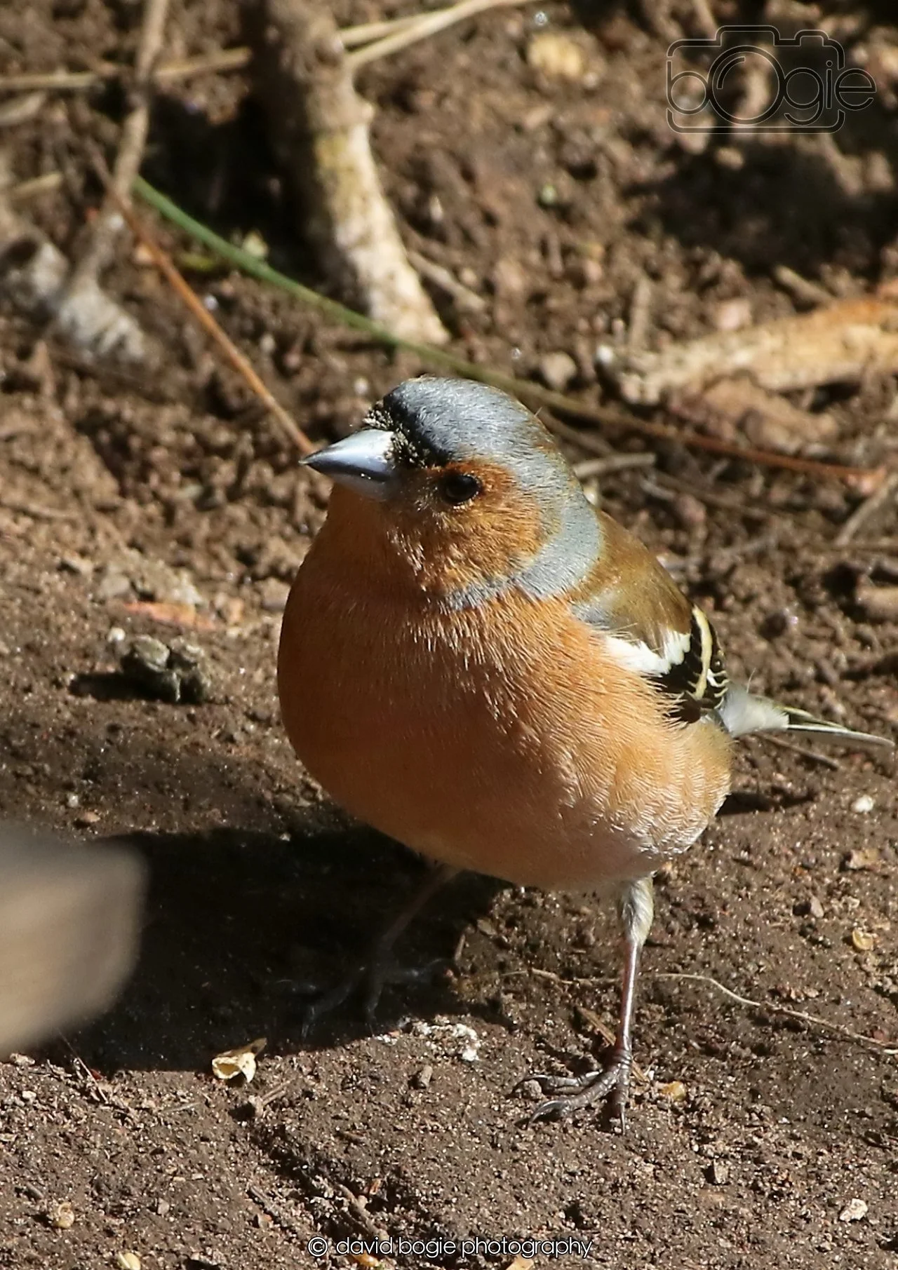 20260402 101857 Silverburn 0152.jpg