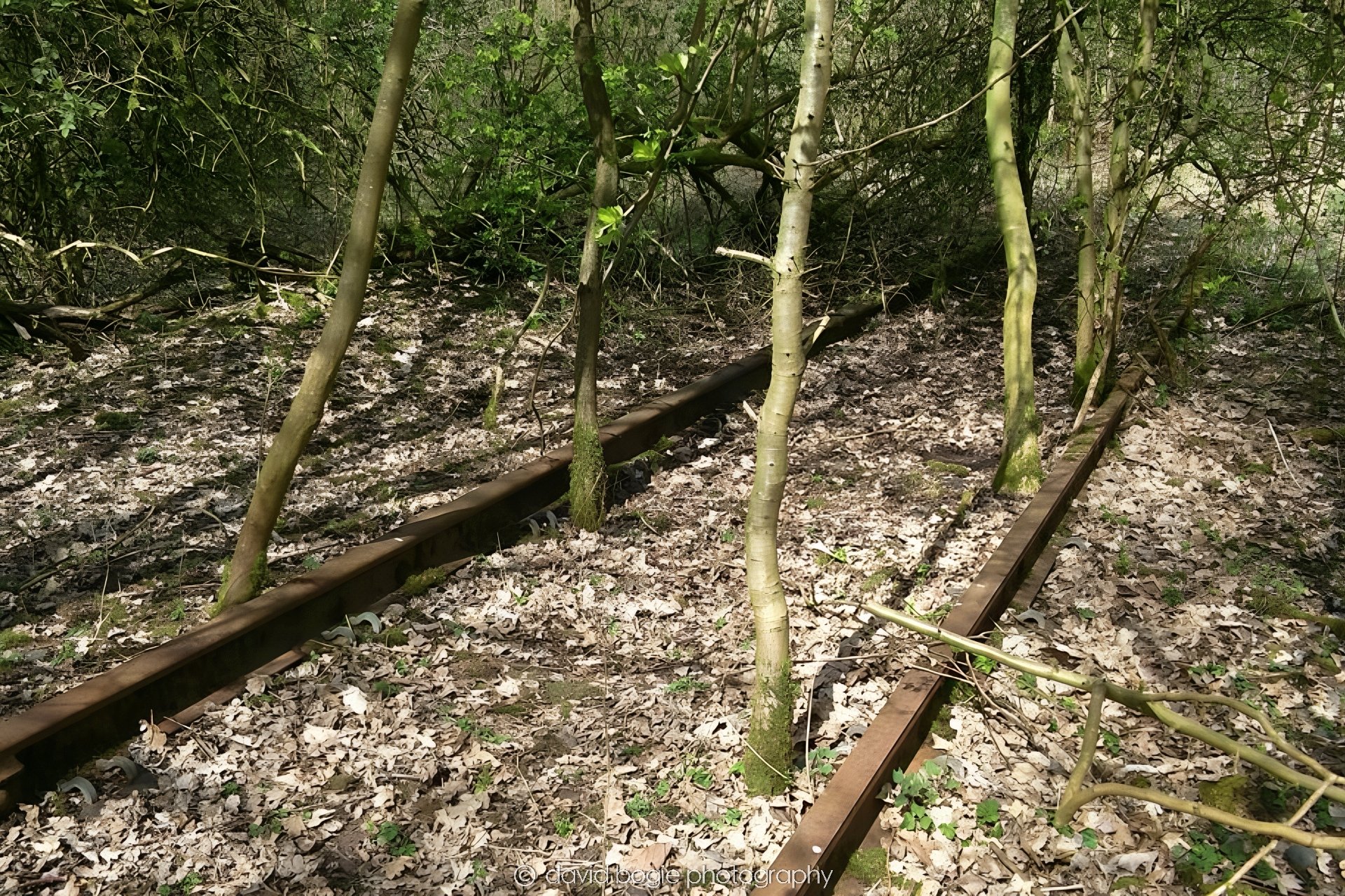 20160423 0000 Cardenden 0004.jpg
