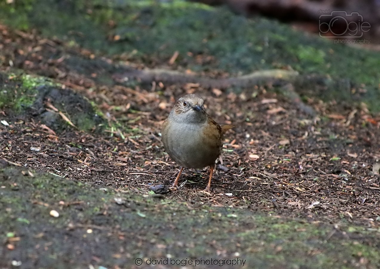 20260306 123201 Dunnikier 0704.jpg