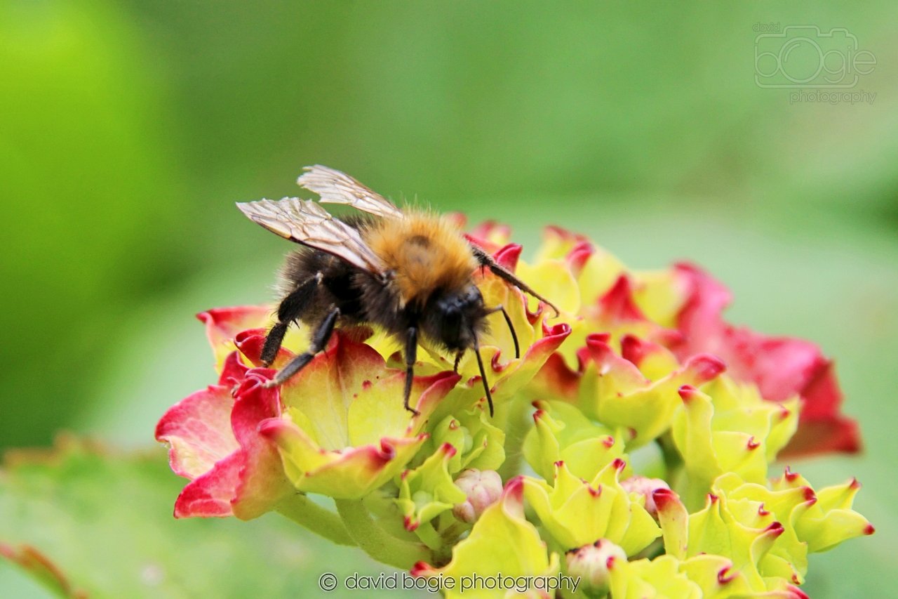 20230707 BBB0053 20230707 Kirkcaldy 140546 0073 00009.jpg