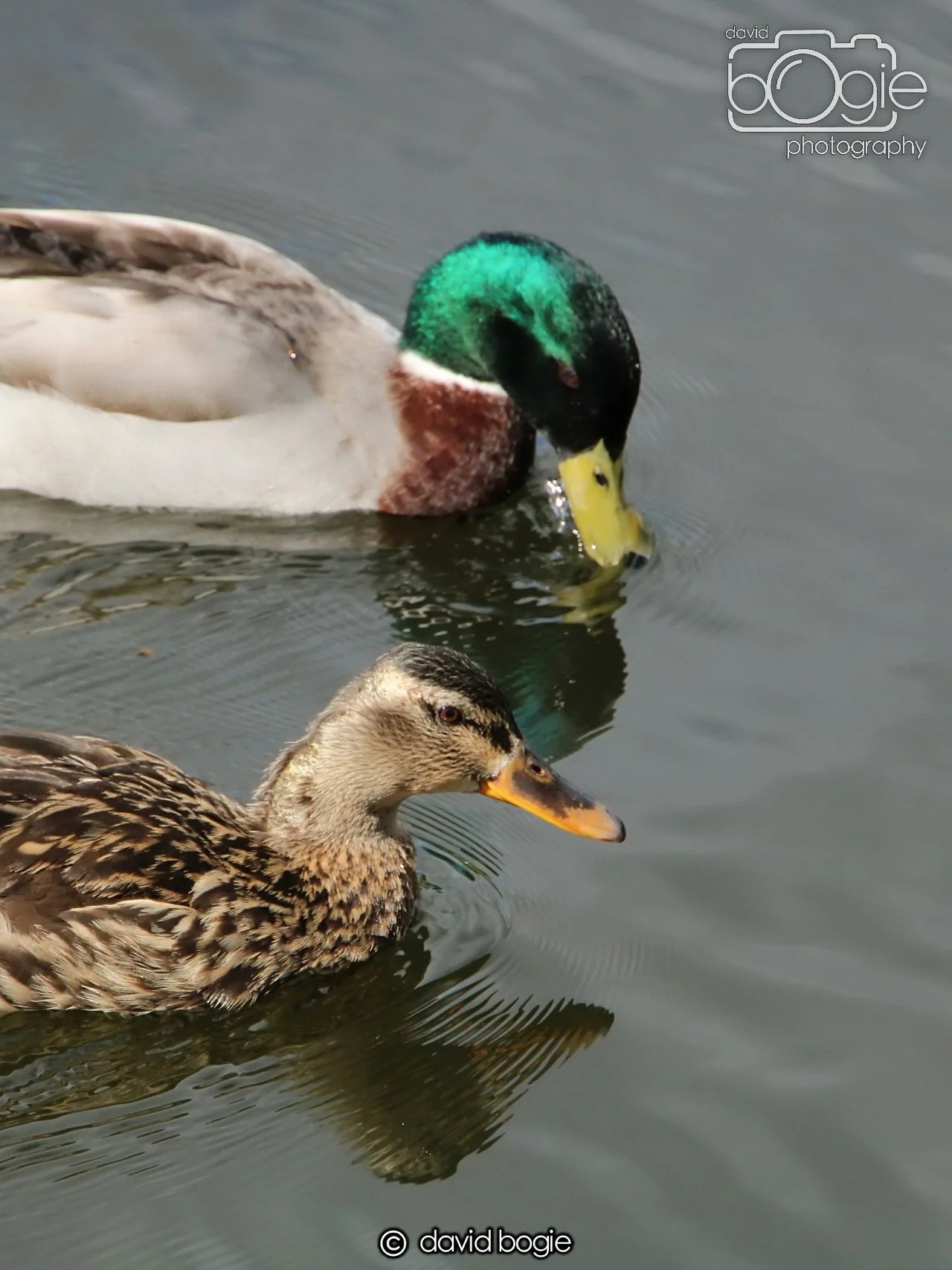 20240423 114341 Beveridge 0041.JPG