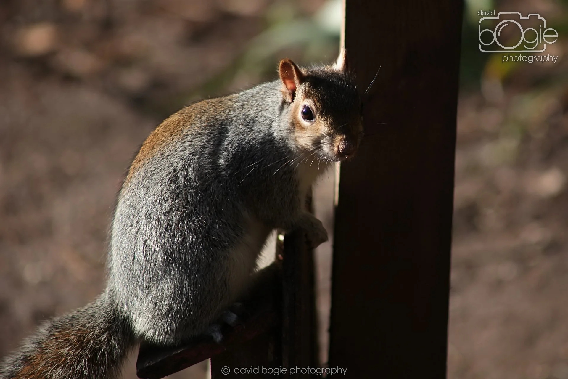 20251125 133353 Silverburn 0074.JPG