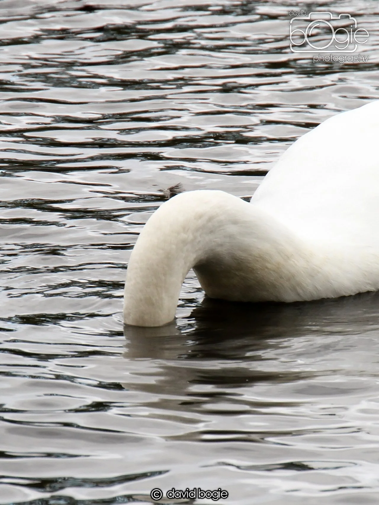 20231016 Beveridge 152301 0429.jpg