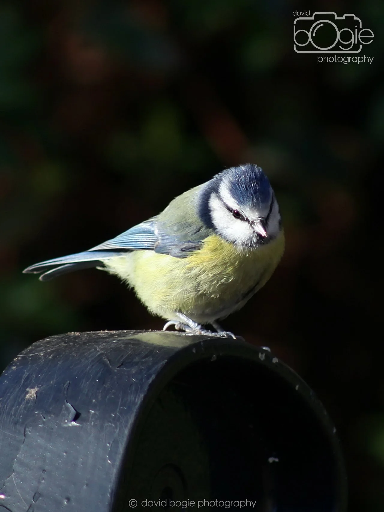 20251125 132544 Silverburn 0021.JPG