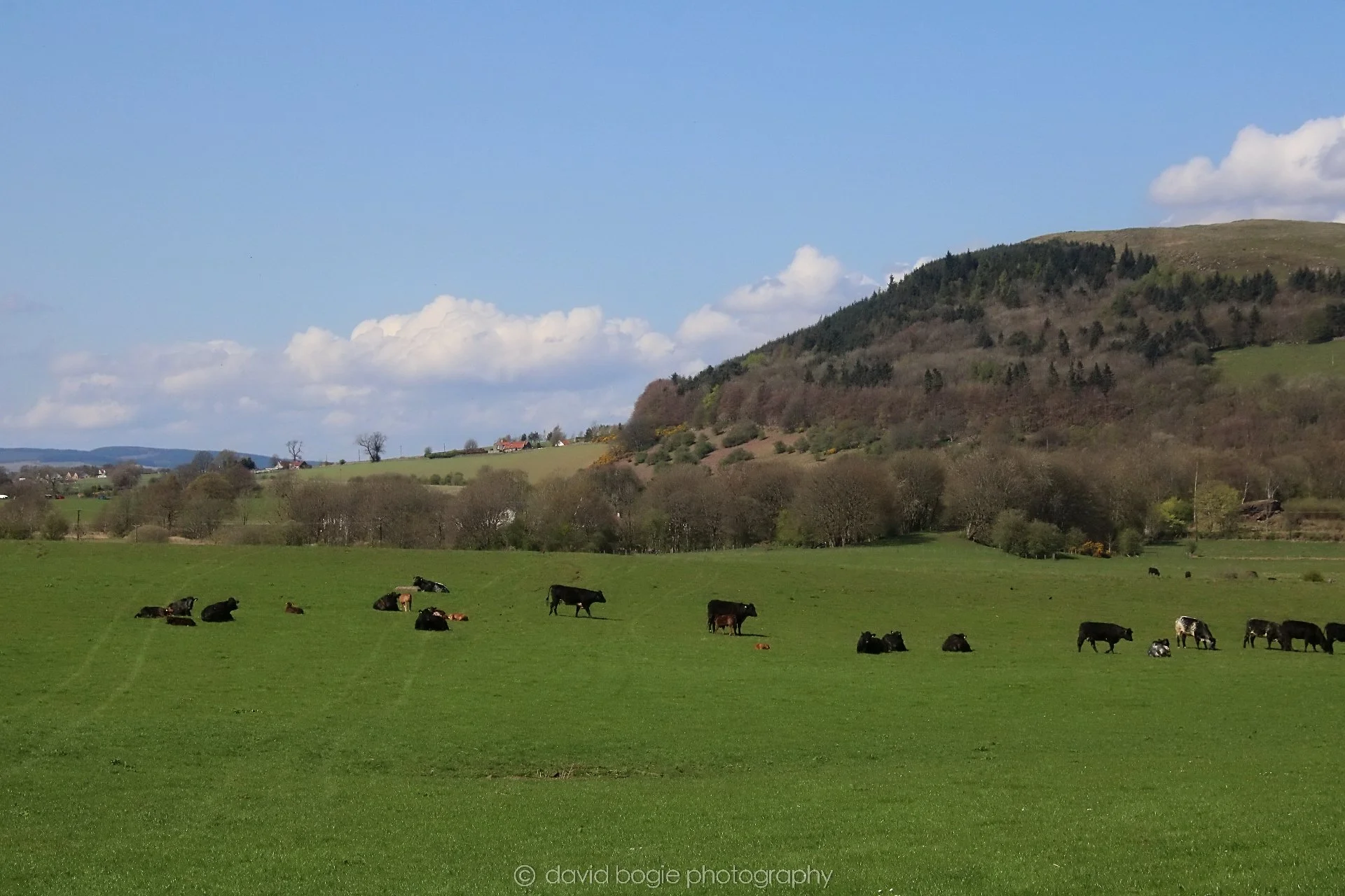 20210420 Lochore 44.jpg