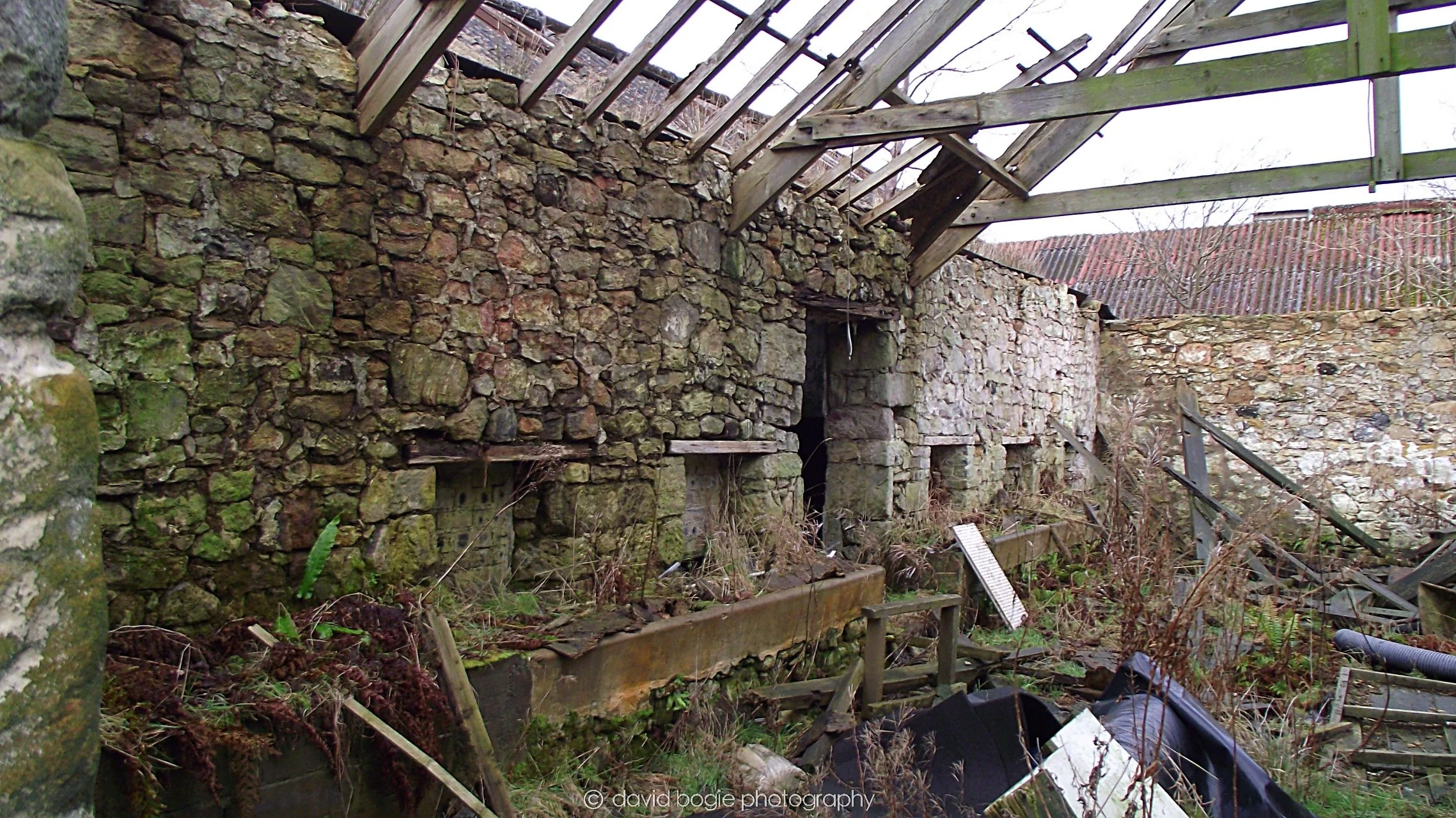 20170107 005343 Cardenden 0032.jpg