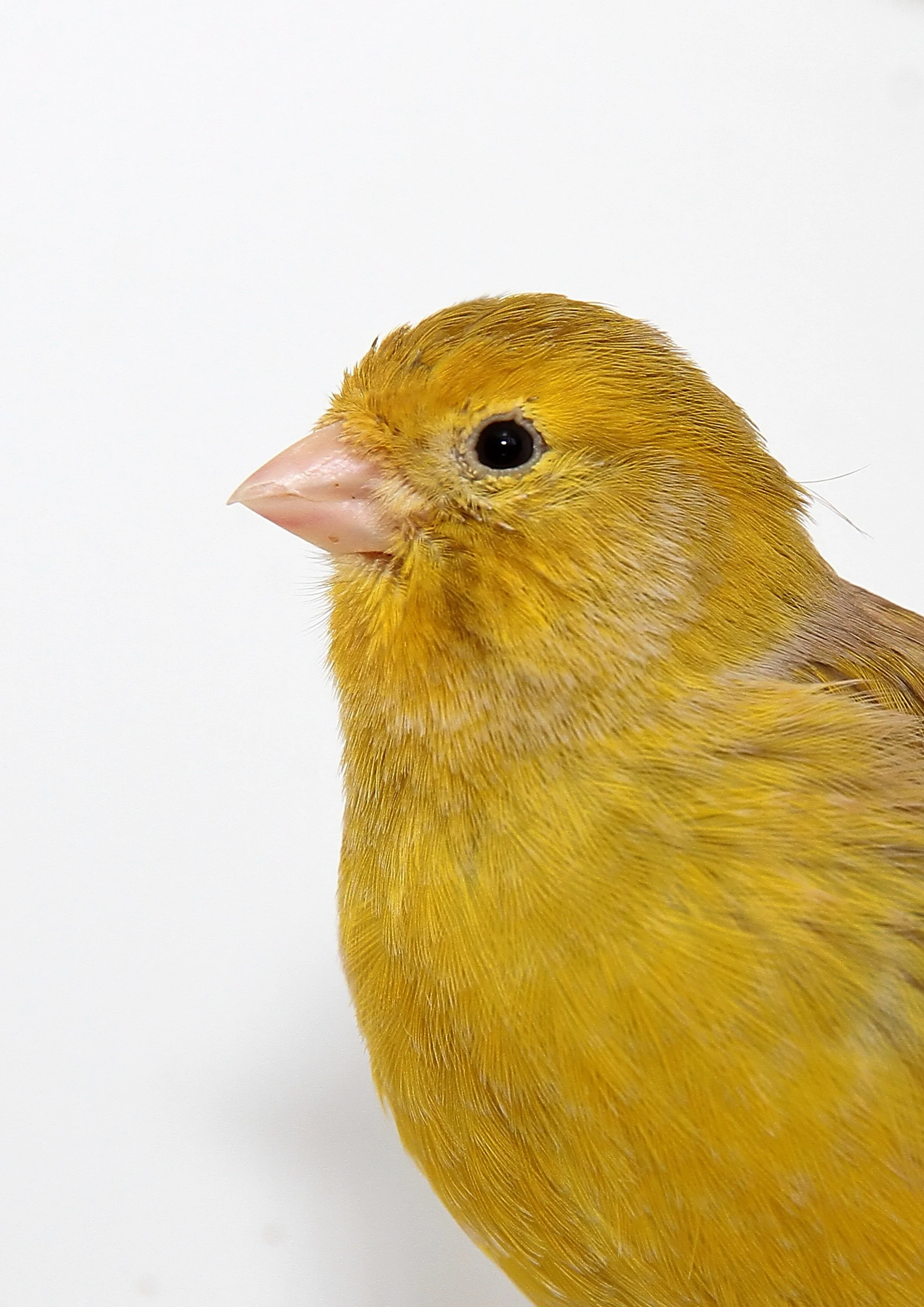 20260331 111655 K&S 0425.jpg