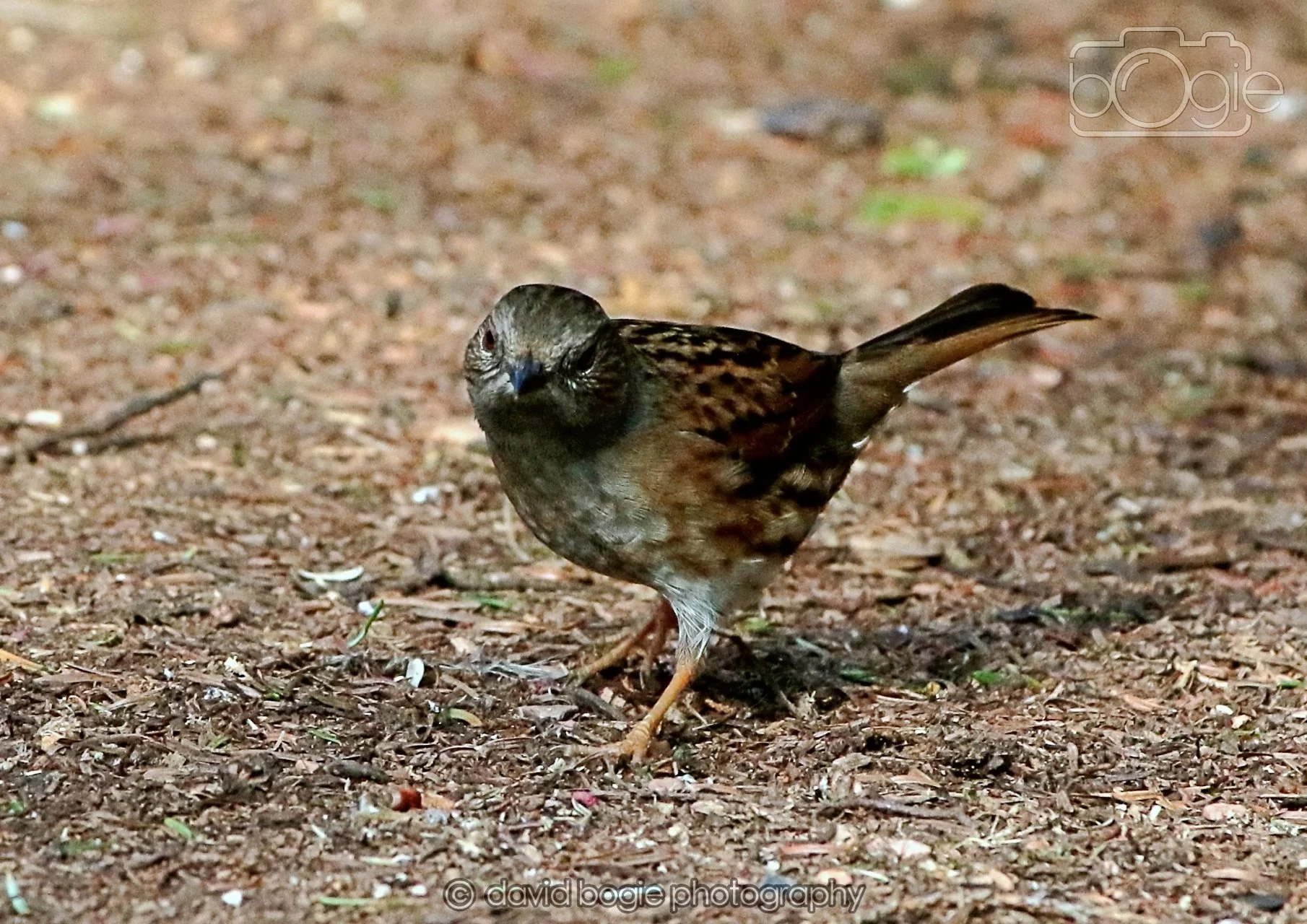 20260322 144500 Dunnikier 0120.jpg