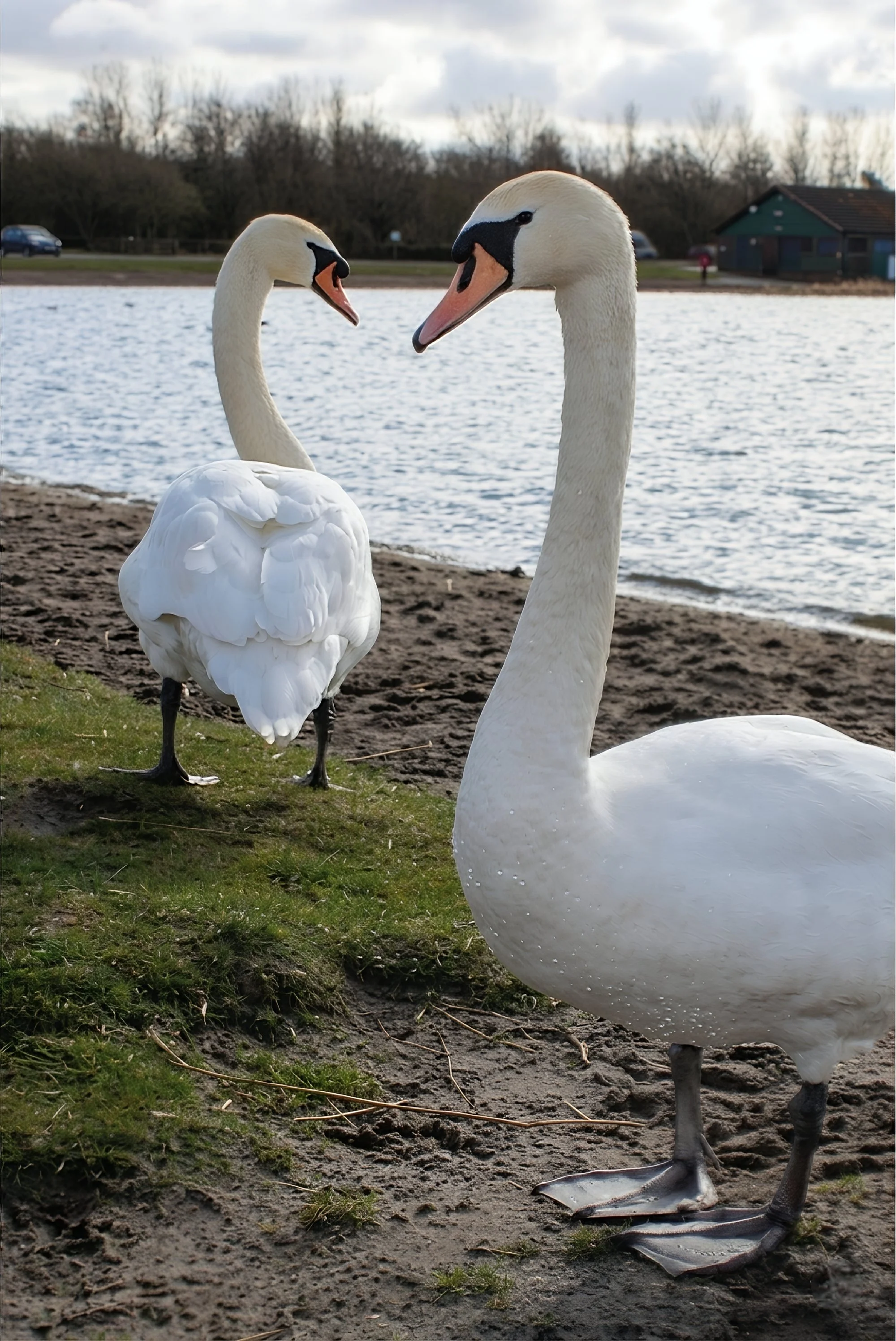 20190318 120915 Lochore 0006.jpg