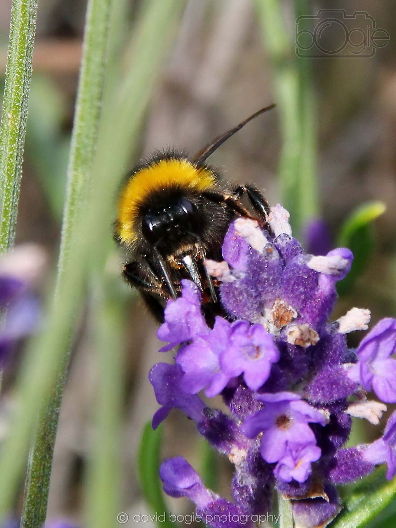 20250806 154127 Falkland 0226.jpg