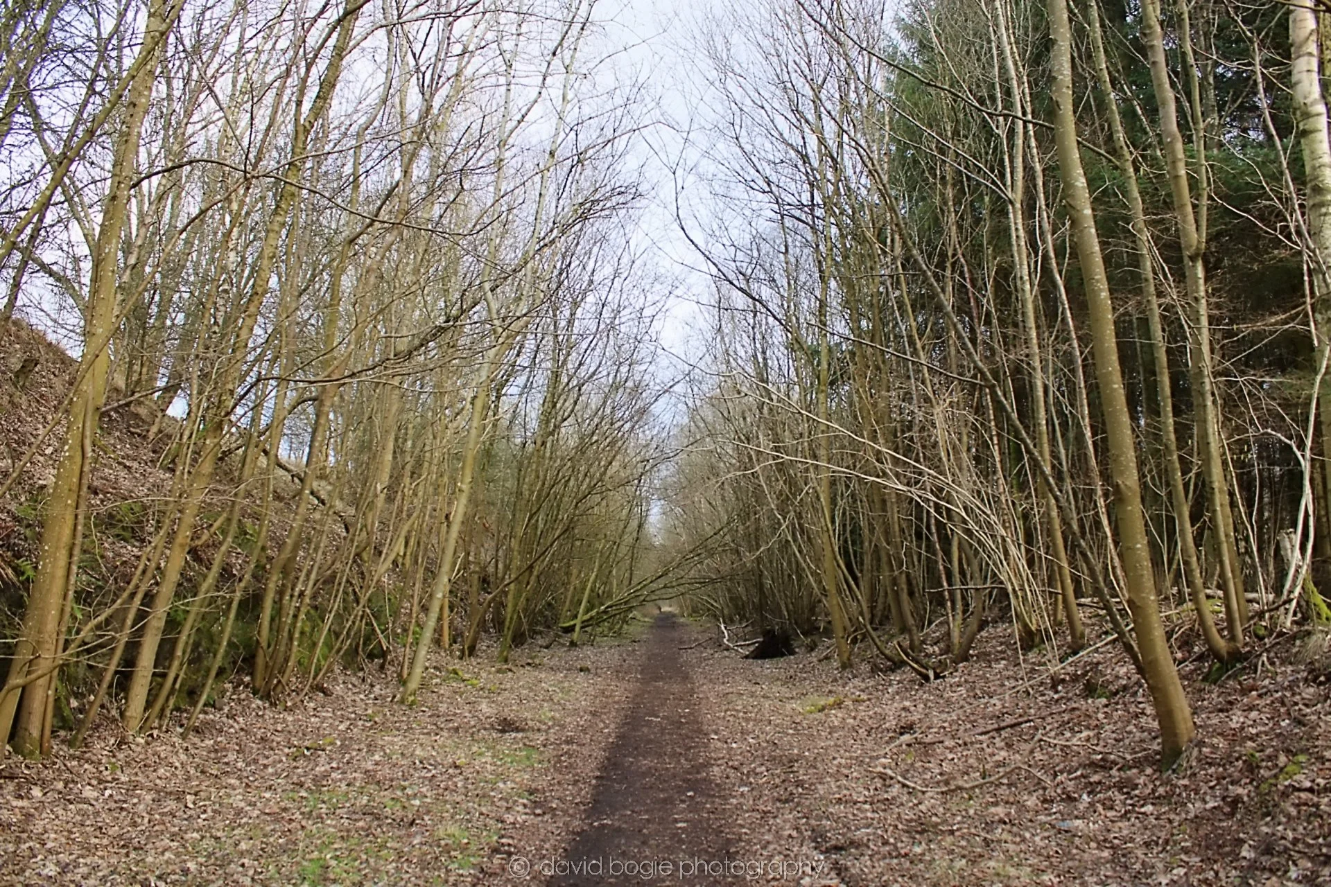 20190219 110356 Glenfarg 0008.jpg