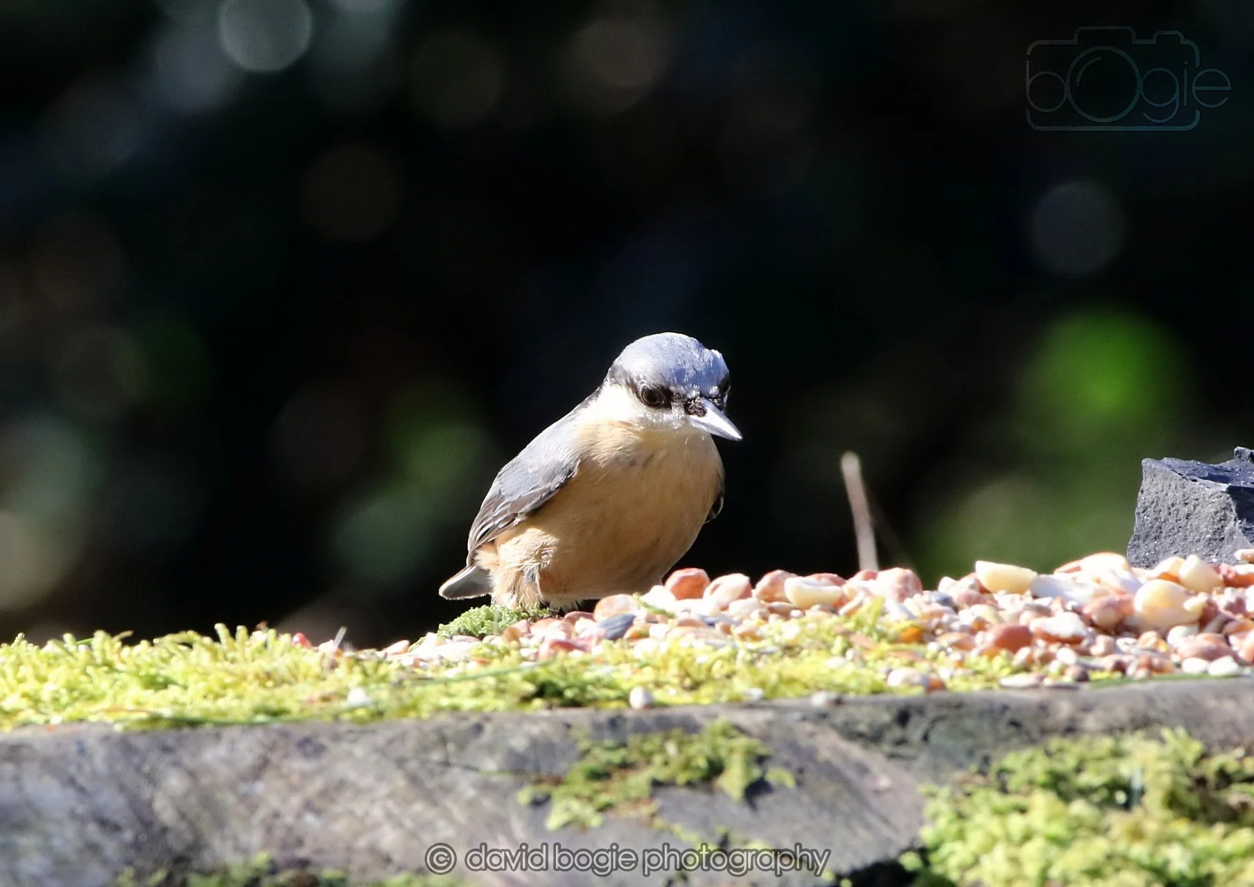 20260320 143350 Ravenscraig 0333.jpg