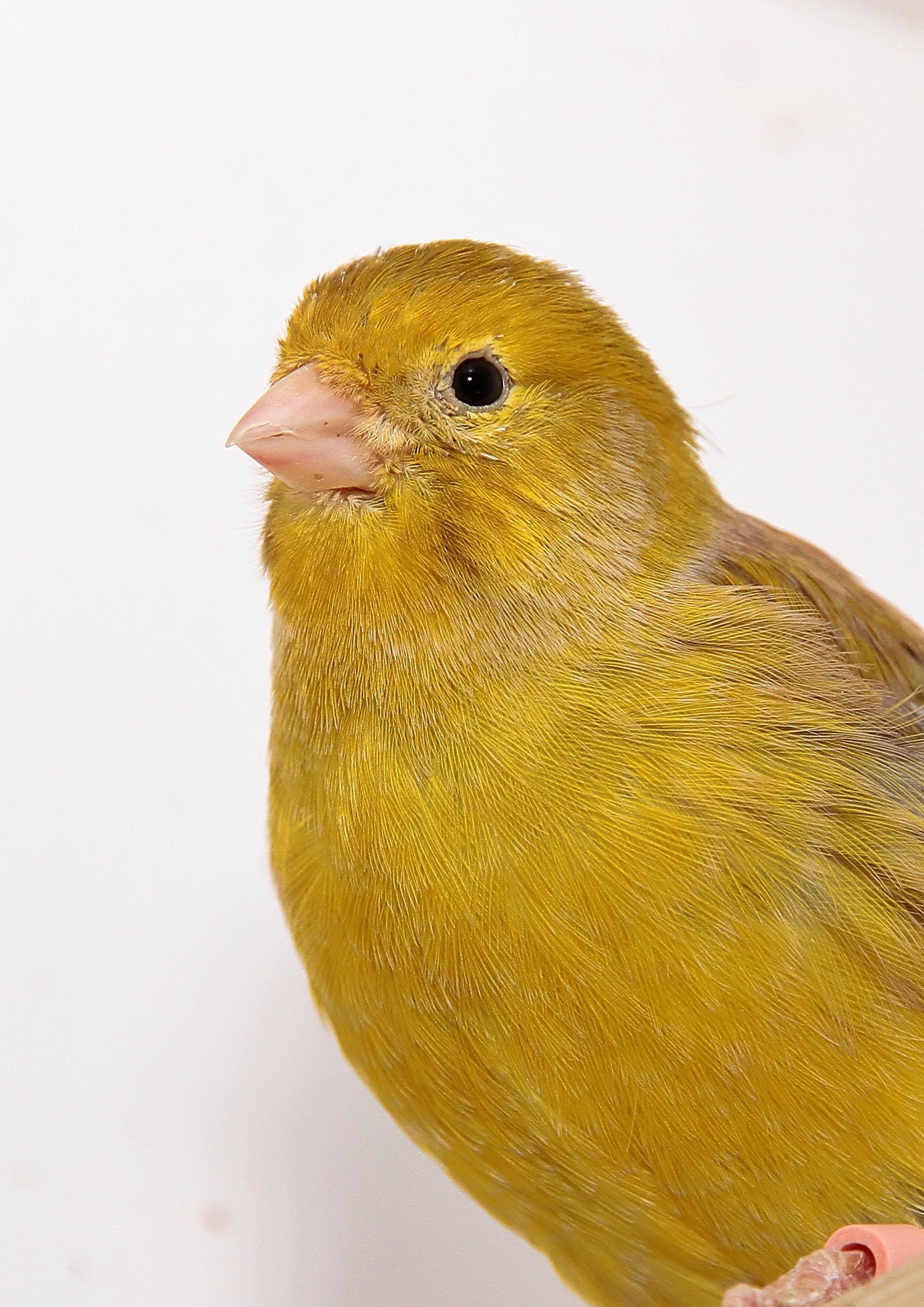 20260331 111655 K&S 0424.jpg