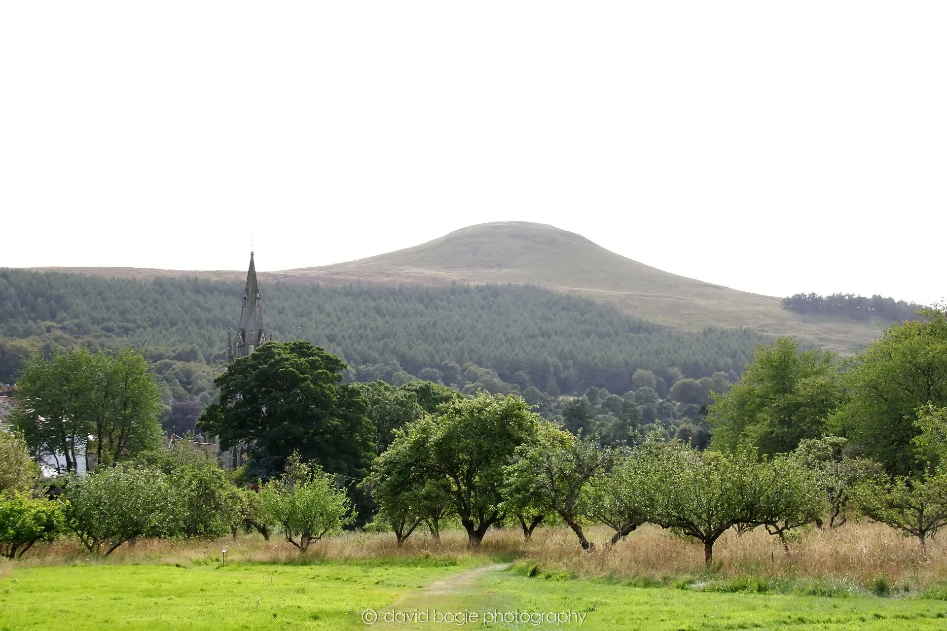 YEAR20250806 152057 Falkland 0197.jpg