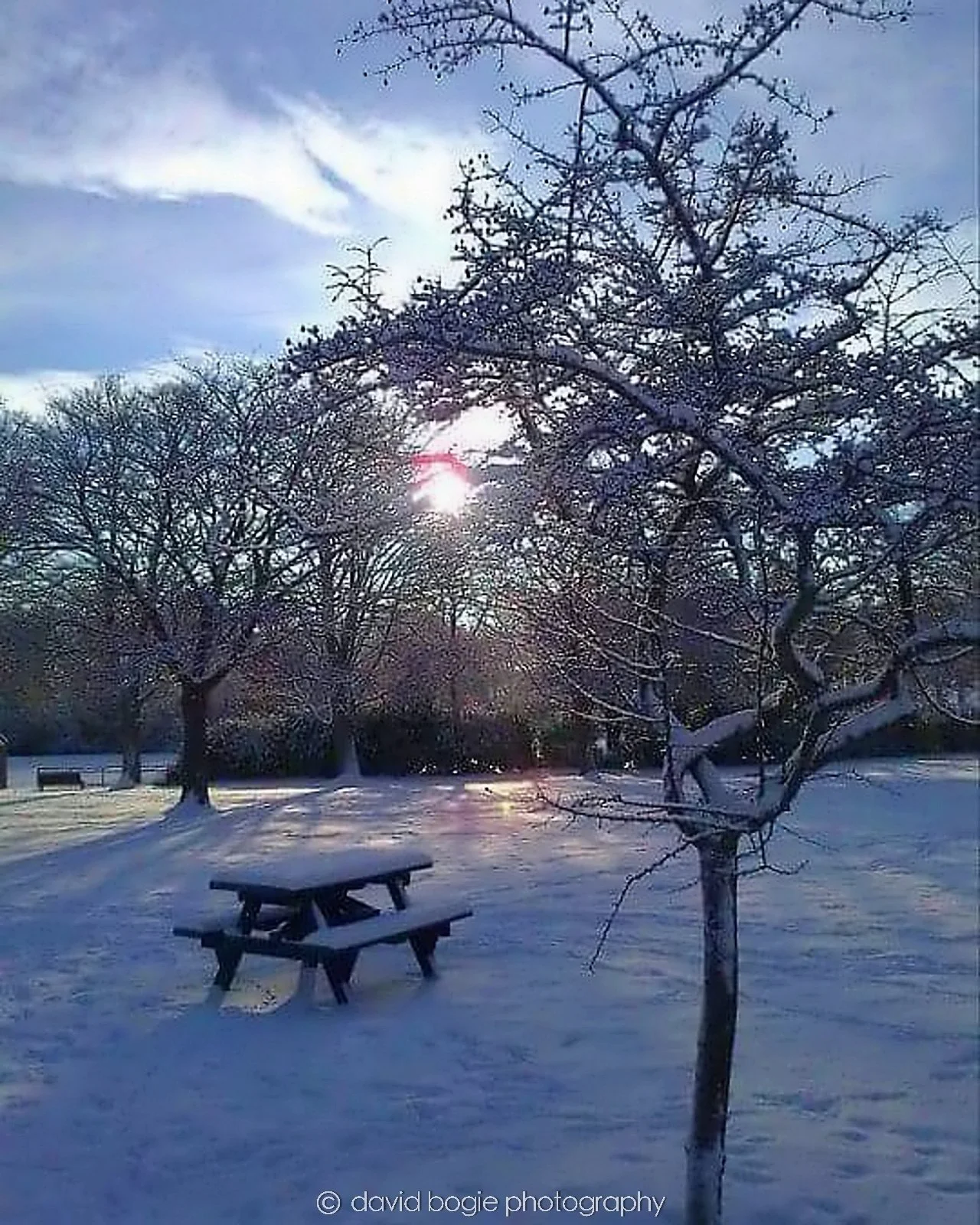 20160326 Beveridge Park 0005.jpg
