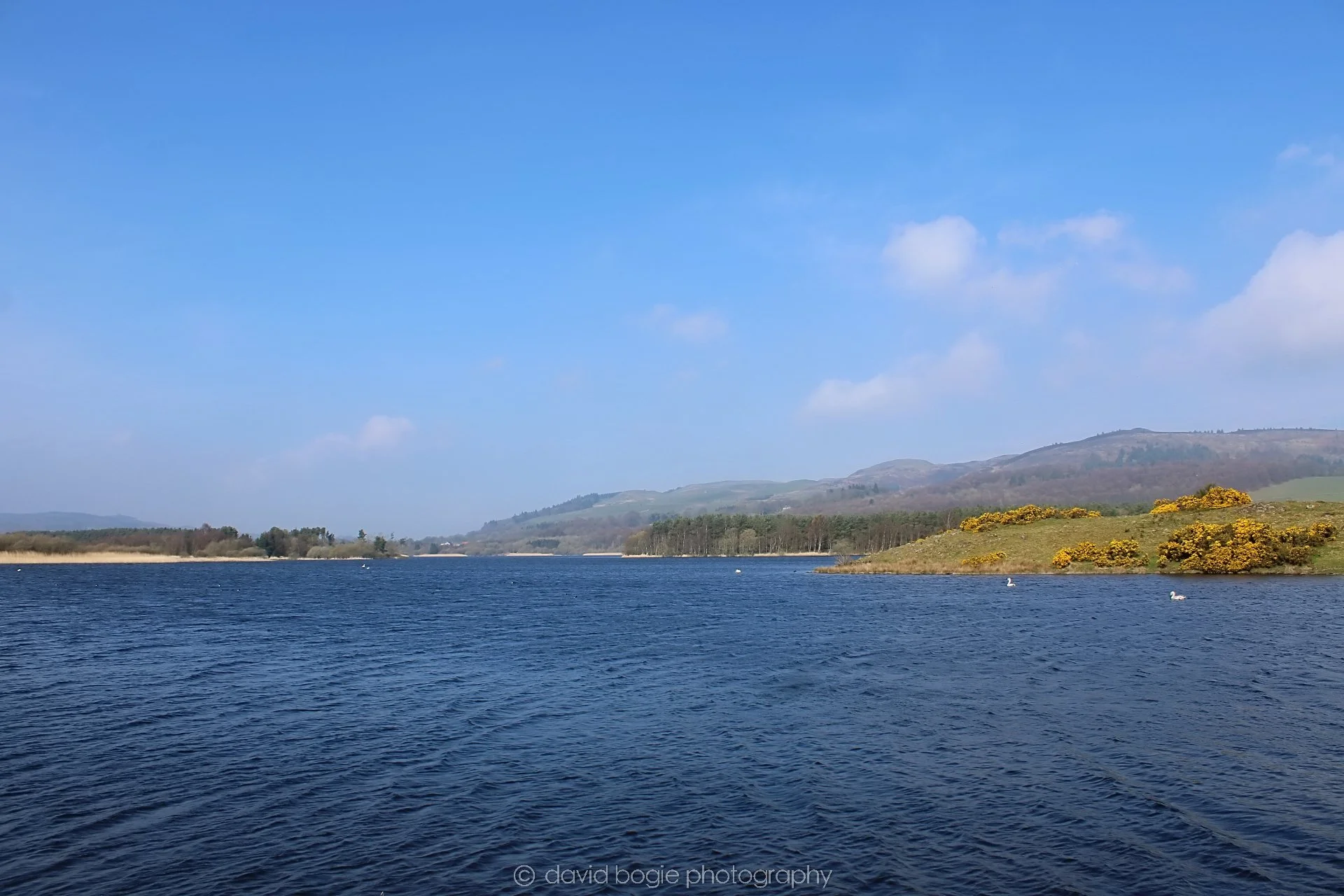 20190405 102457 Lochore 0015.jpg