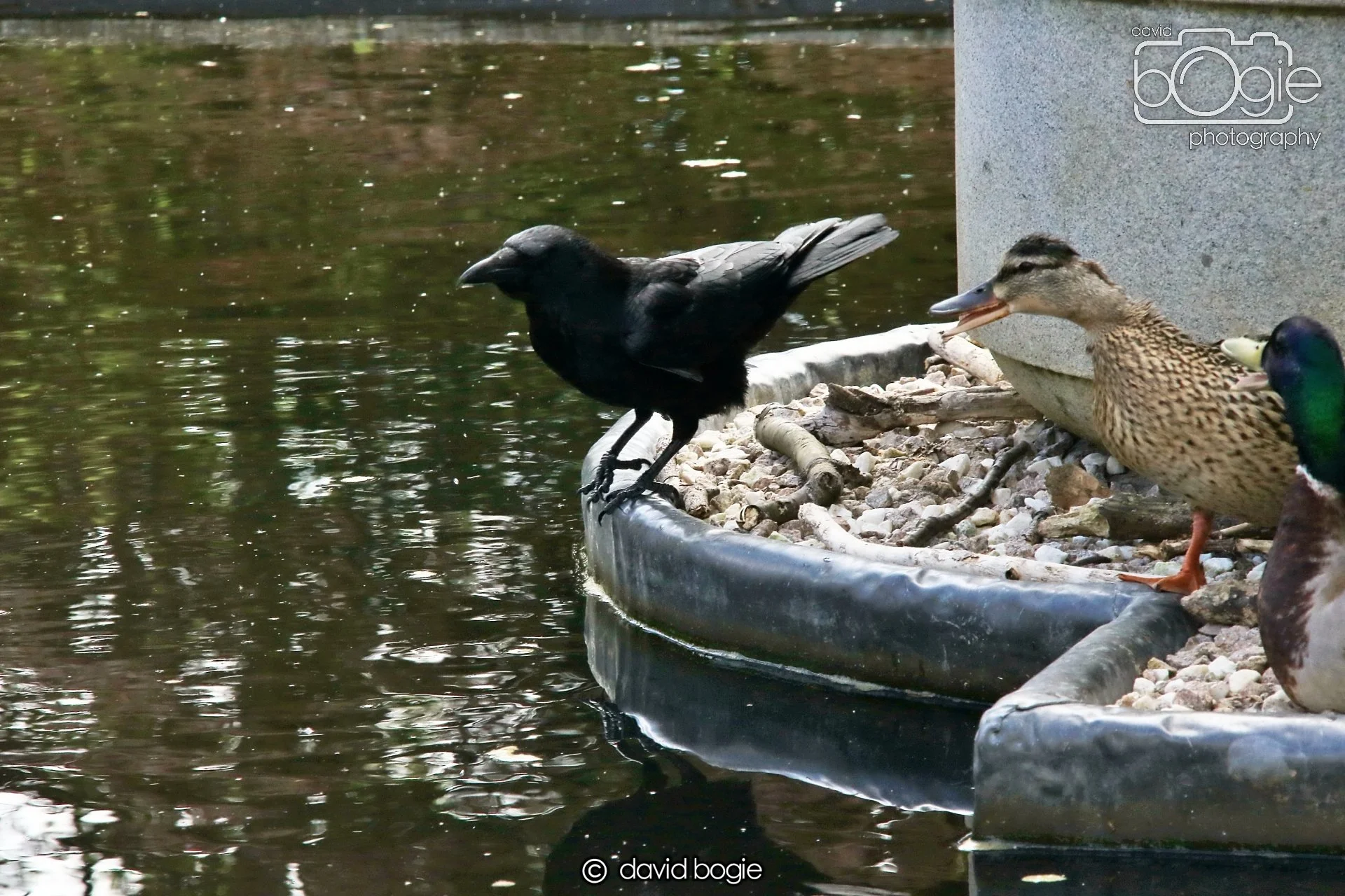 20250505 132324 Beveridge Park 0799.JPG