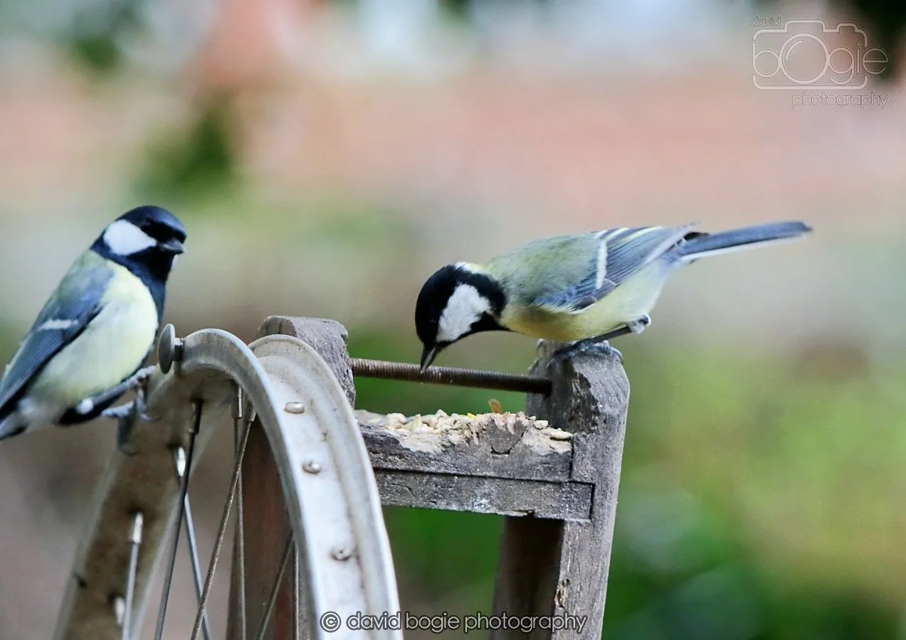 20260215 131510 Silverburn 0055.jpg