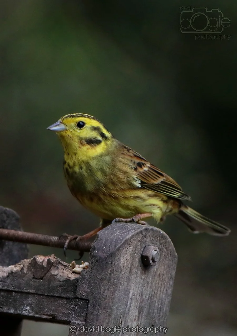 20260215 132435 Silverburn 0135.jpg