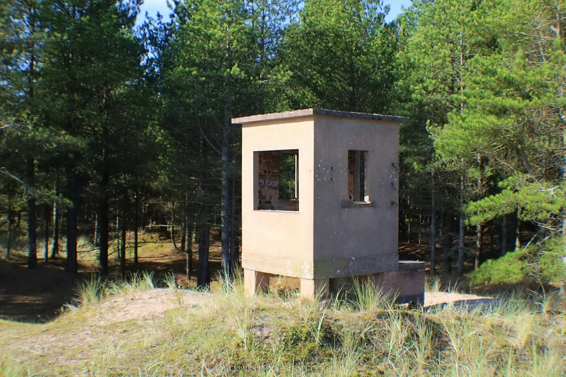 20191002 122243 Tentsmuir 0009.jpg