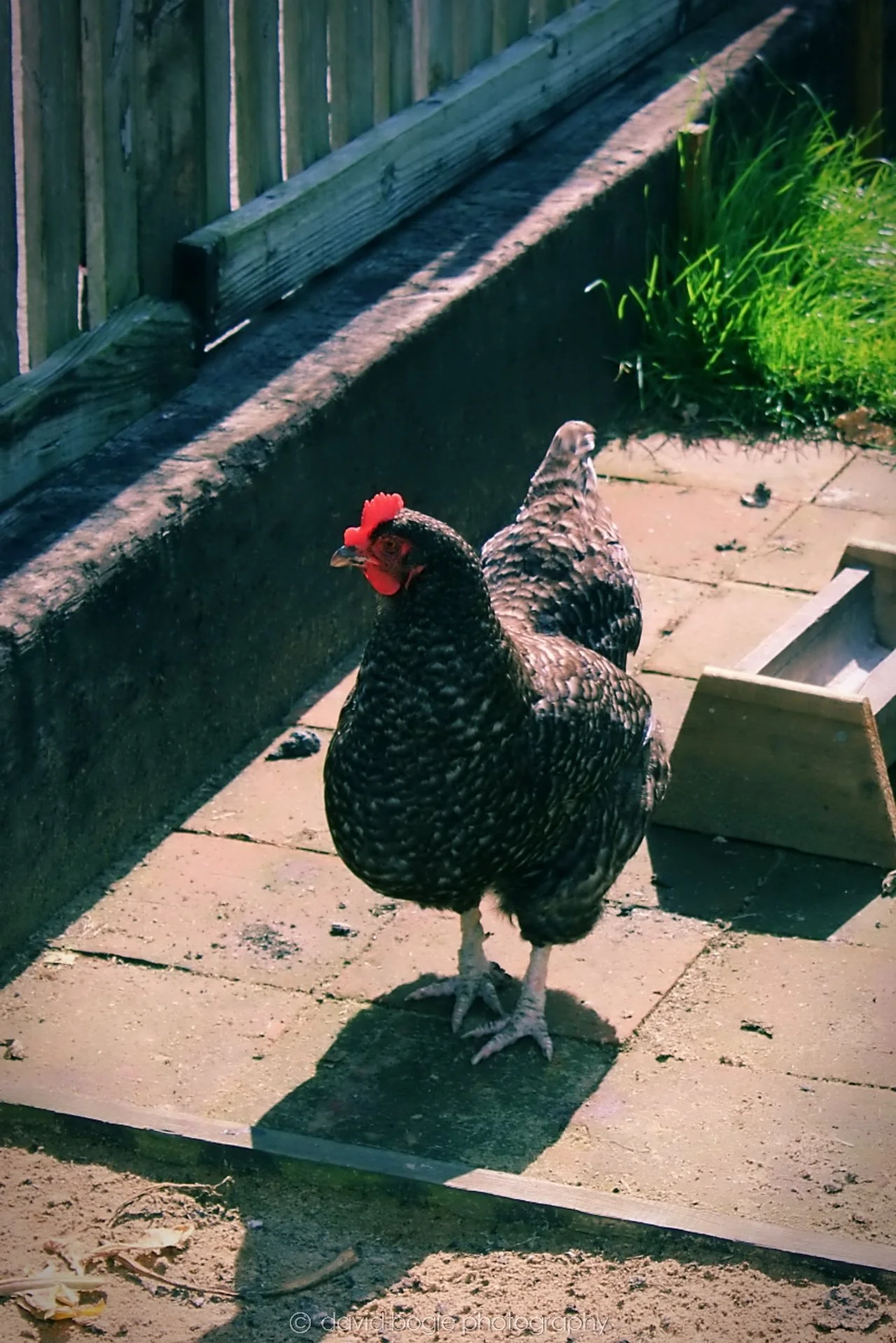 20190722 153132 Beamish .jpg