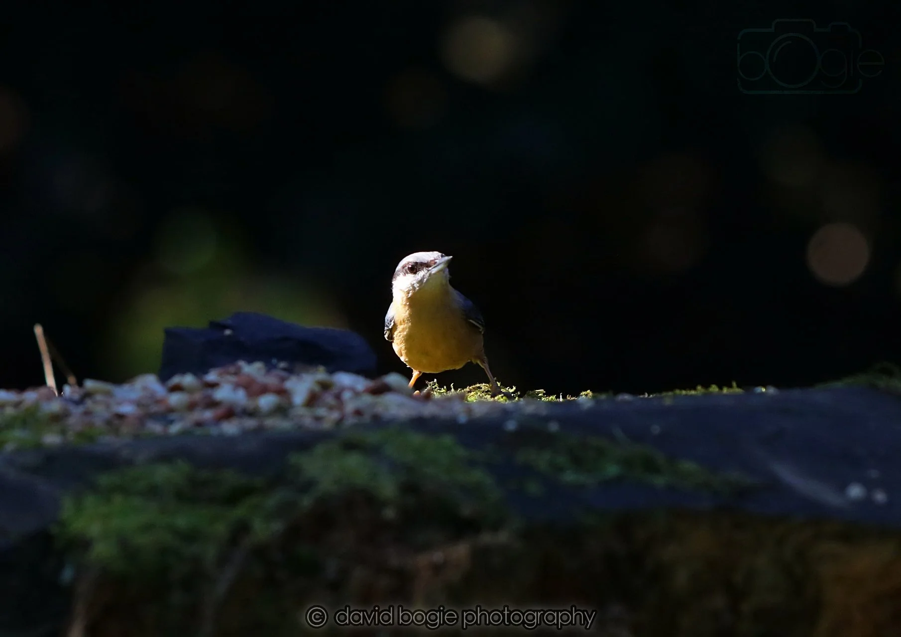 20260320 142237 Ravenscraig 0237.jpg