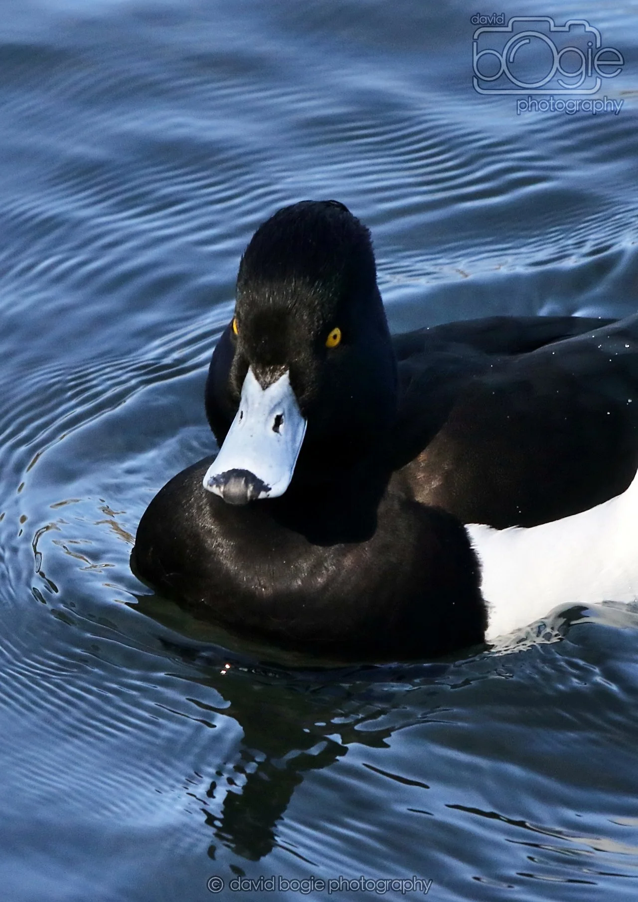 20260319 113108 Beveridge Park 0090.jpg