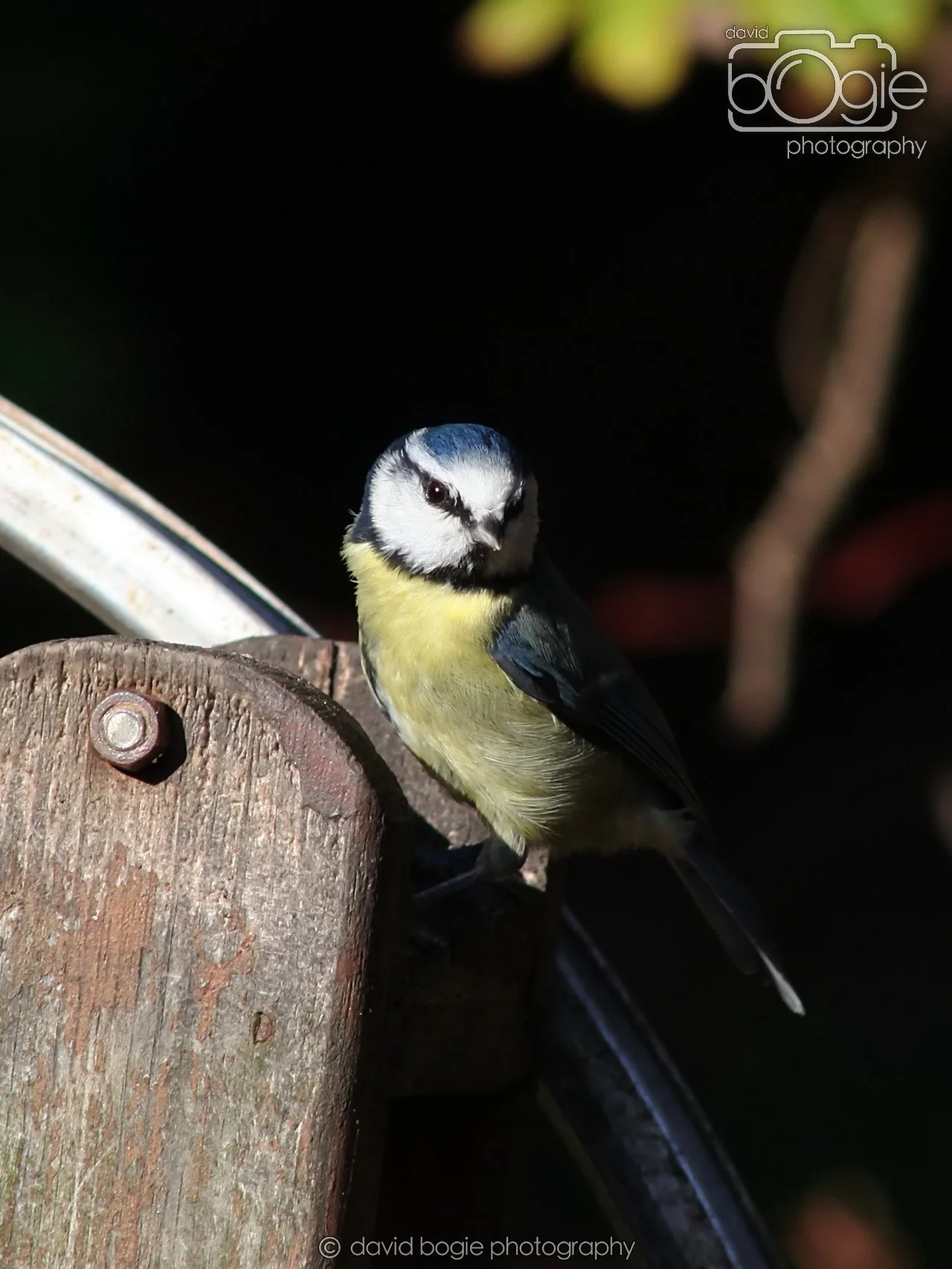 20251125 134737 Silverburn 0175.JPG