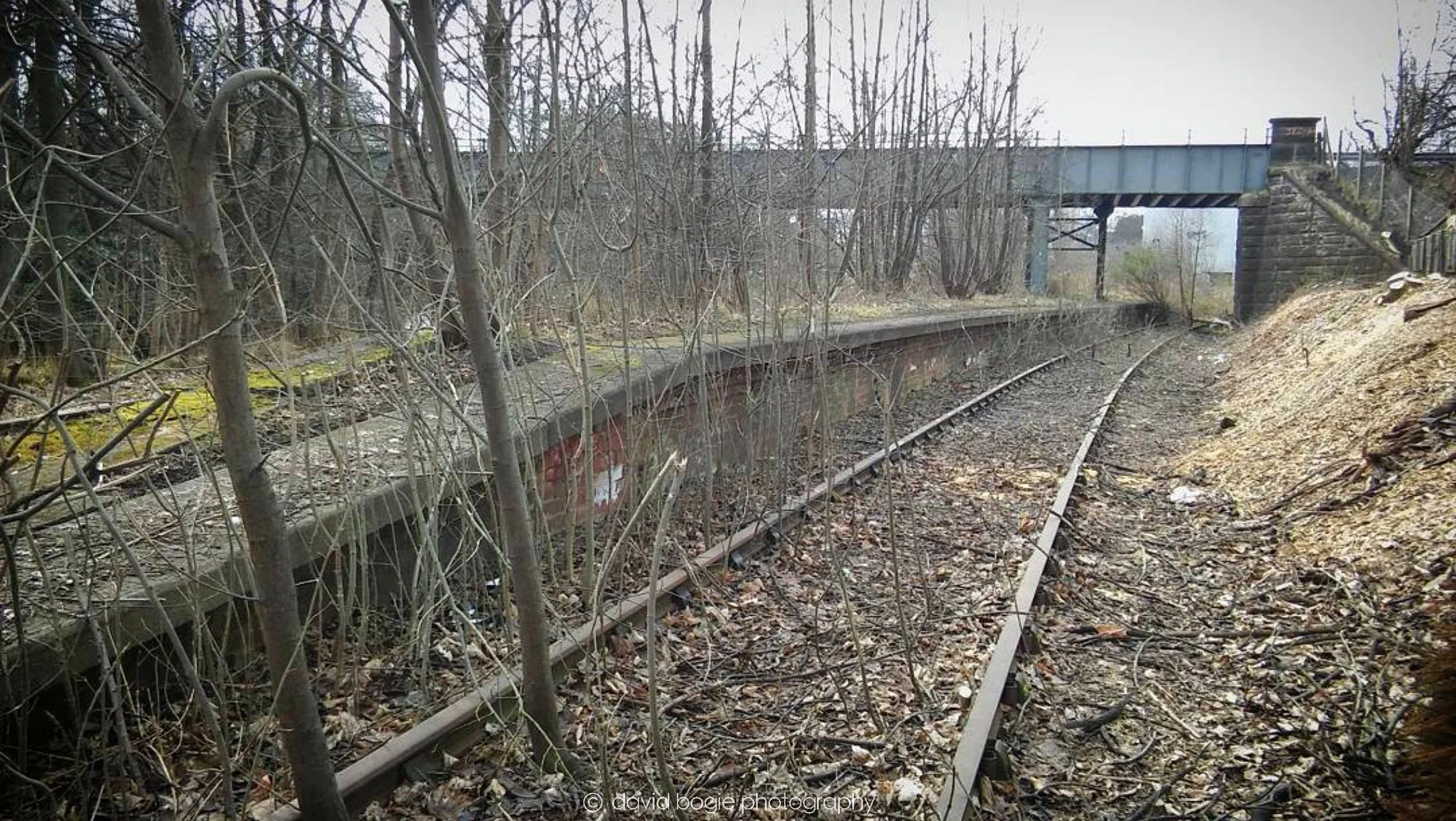 20170303 000000 Leven 0015.jpg
