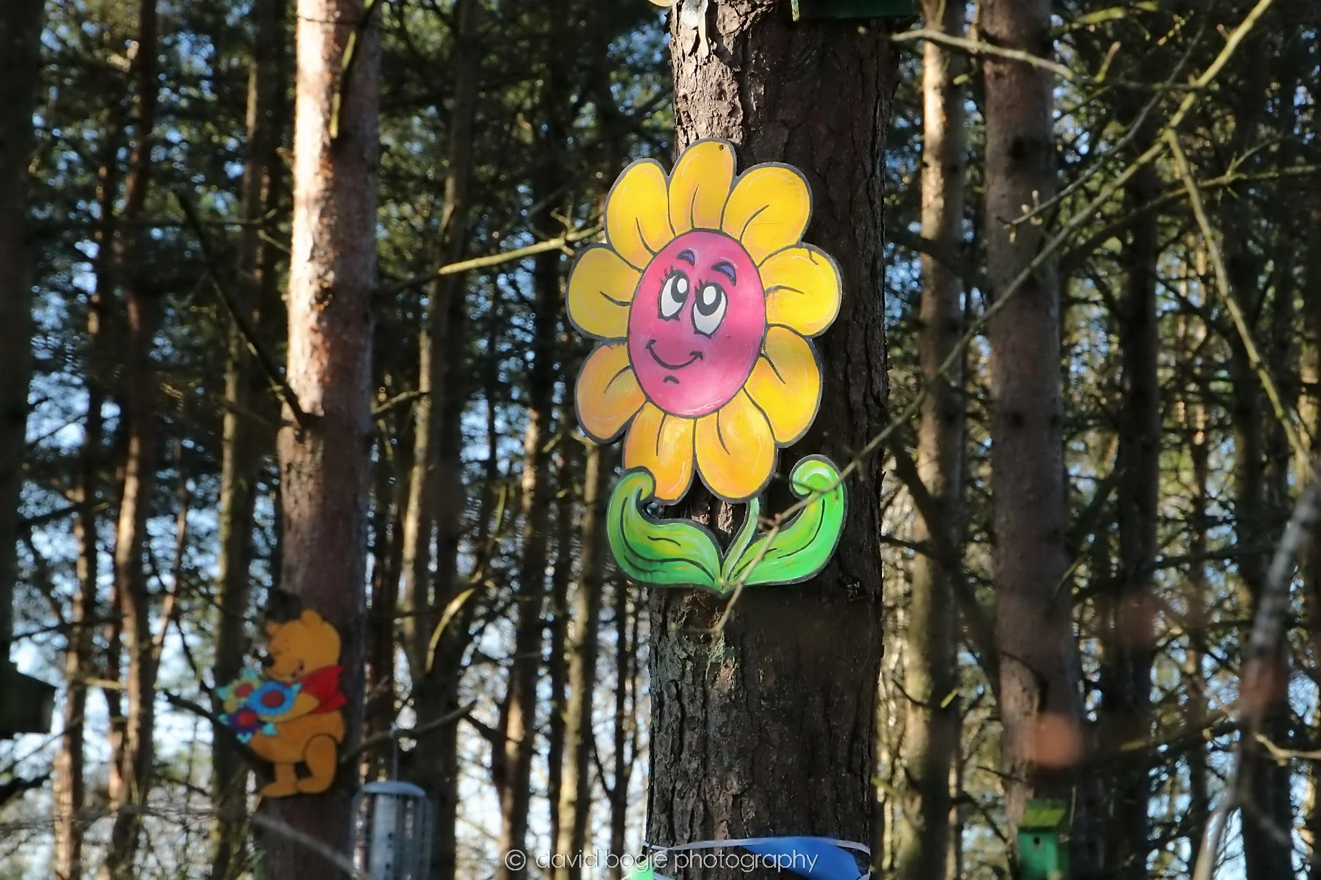 YEAR20240207 Lochore Meadows 0181 2.jpg
