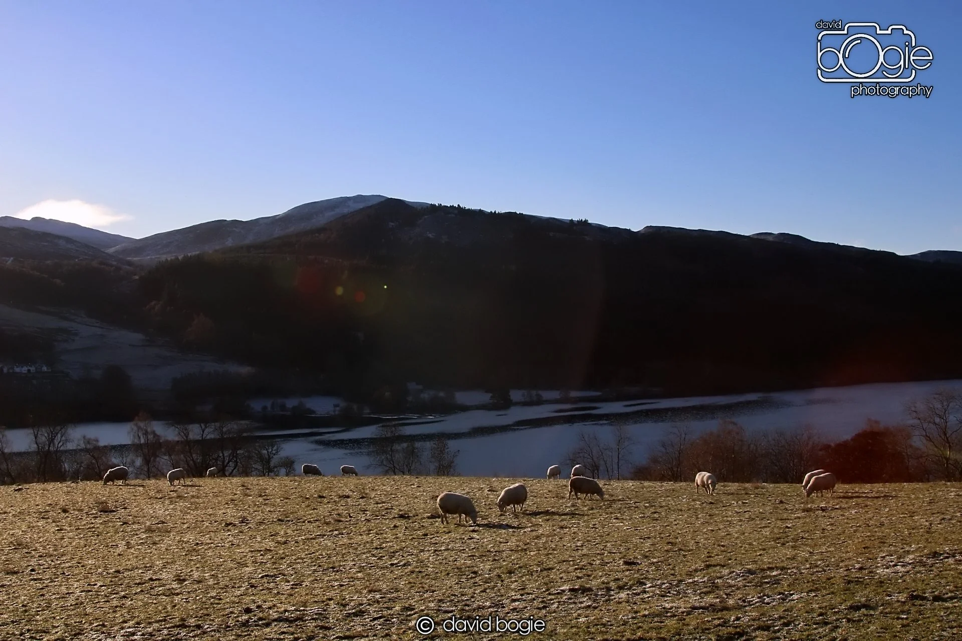 20221215 00044 Aberfeldy.JPG