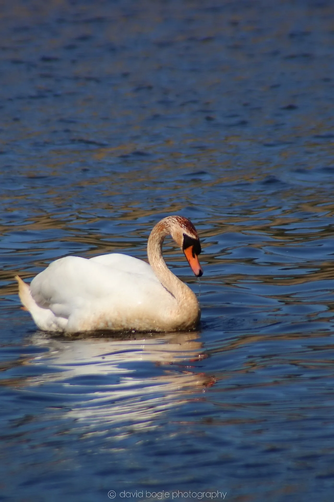 20210420 Lochore 20.jpg