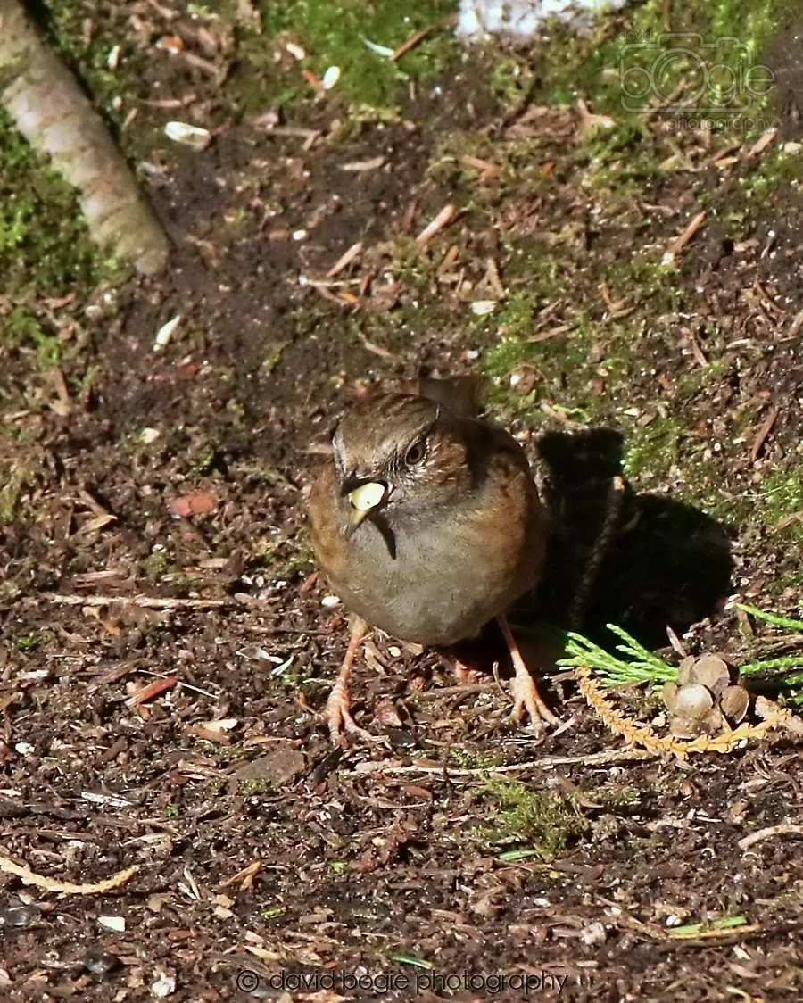 20260128 132021 Dunnikier 0164.jpg