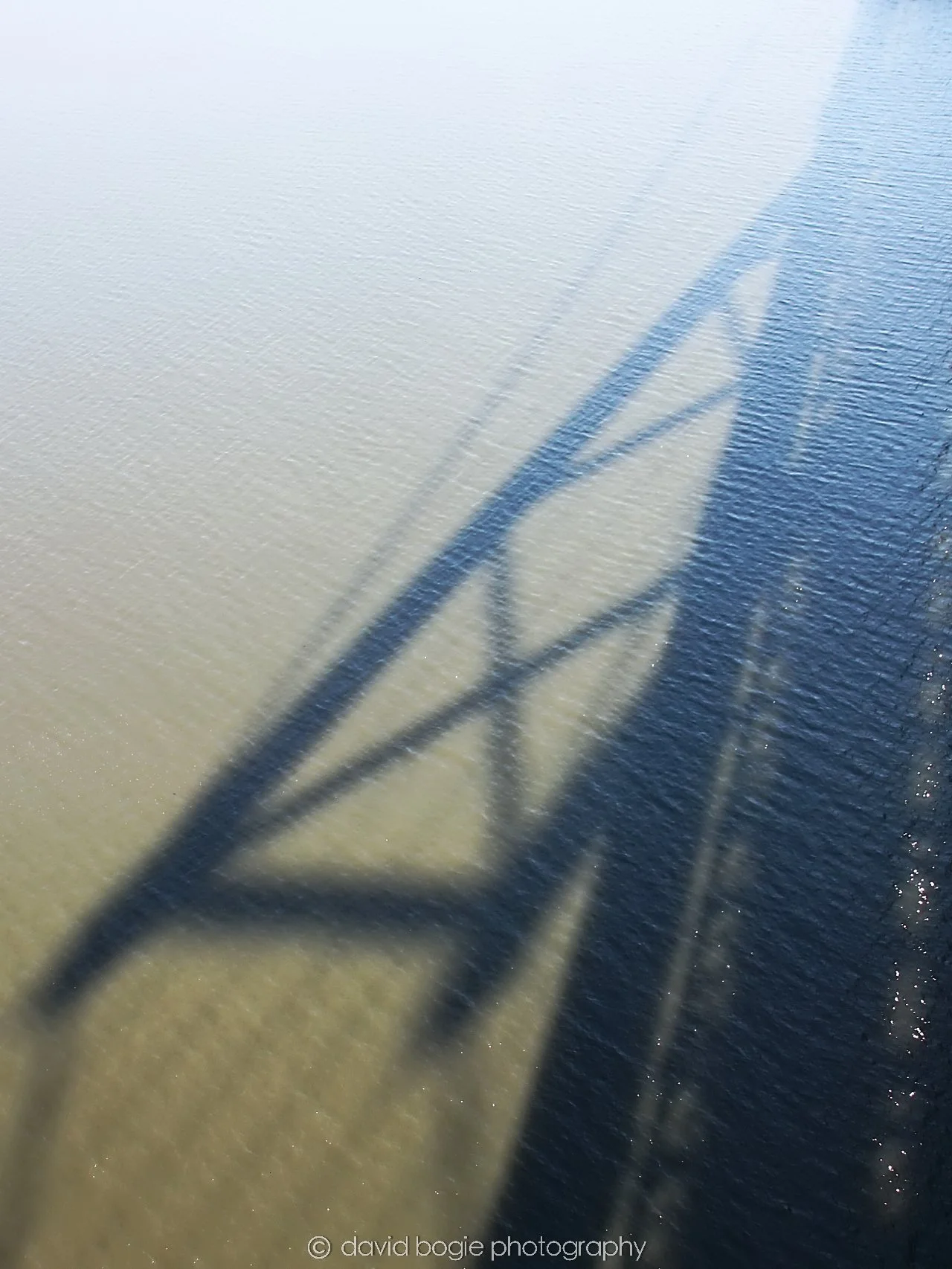 YEAR20250319 141400 Forth Road Bridge 0178.jpg