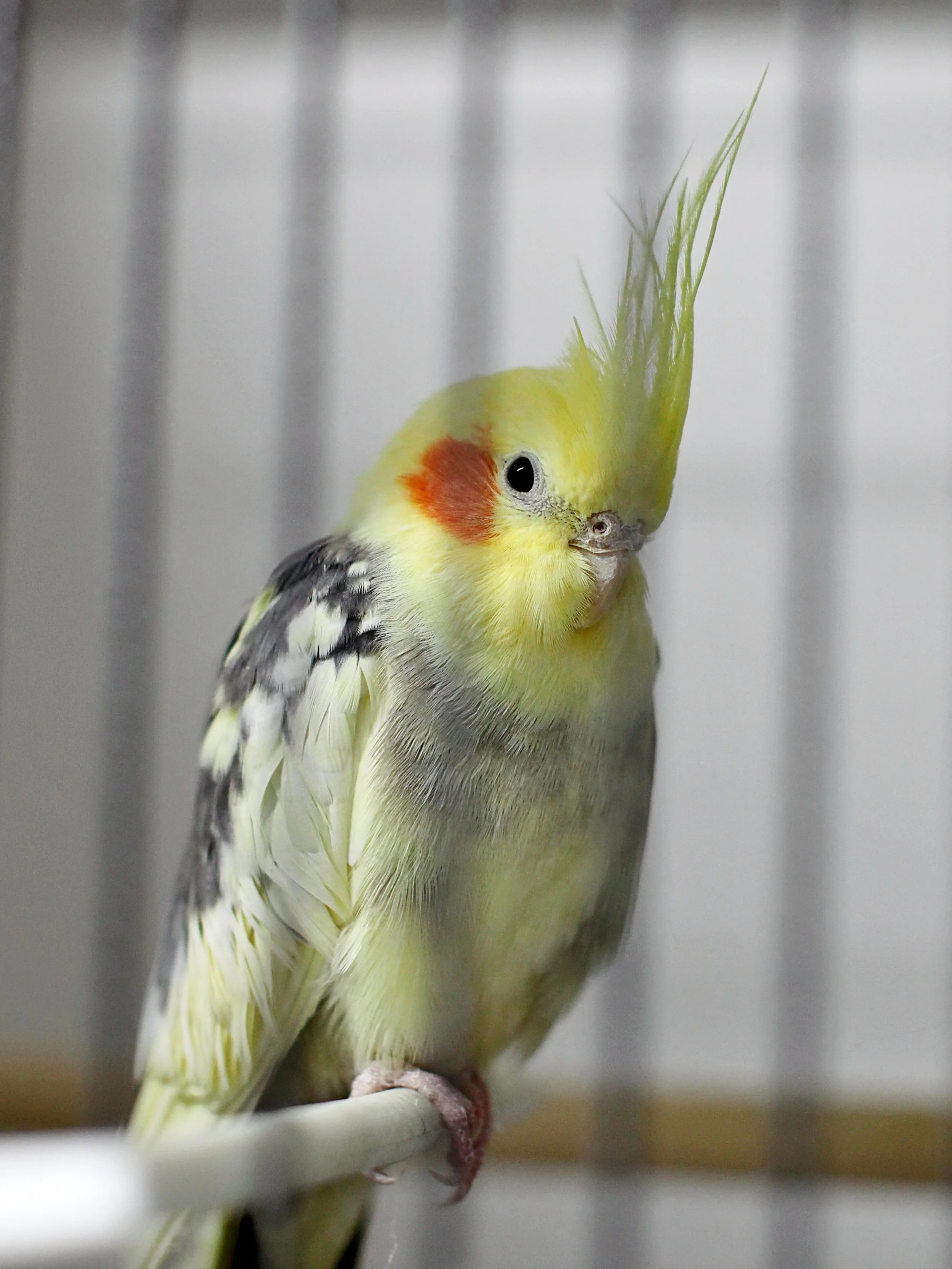 20251117 133341 IMG_0056.JPG